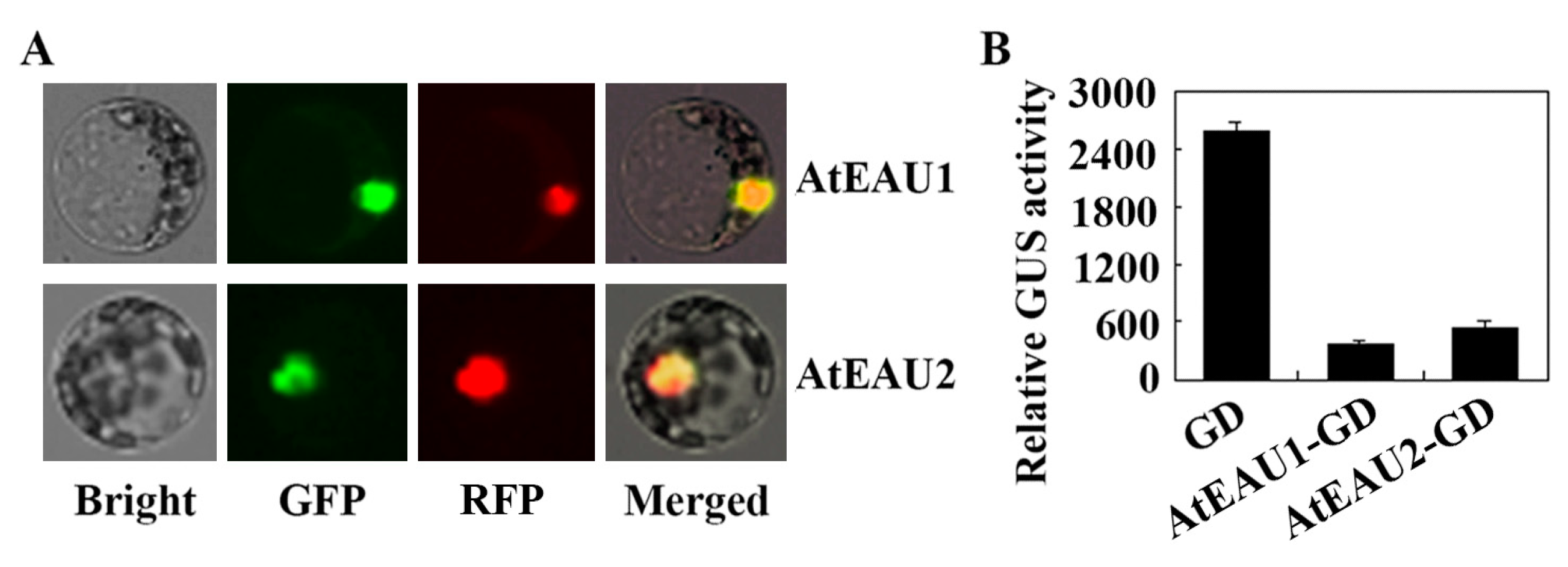 Ijms 23 09053 g003 550