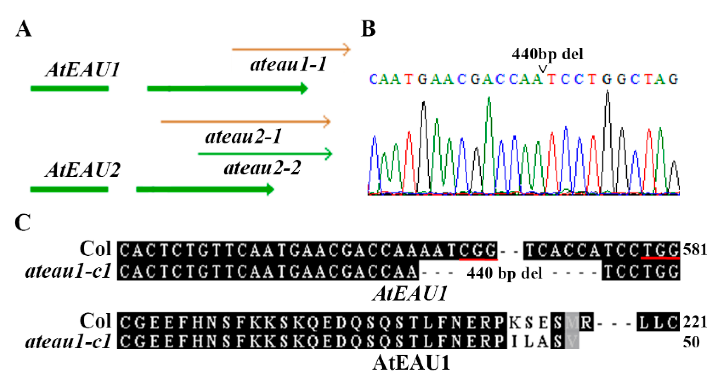 Ijms 23 09053 g004 550