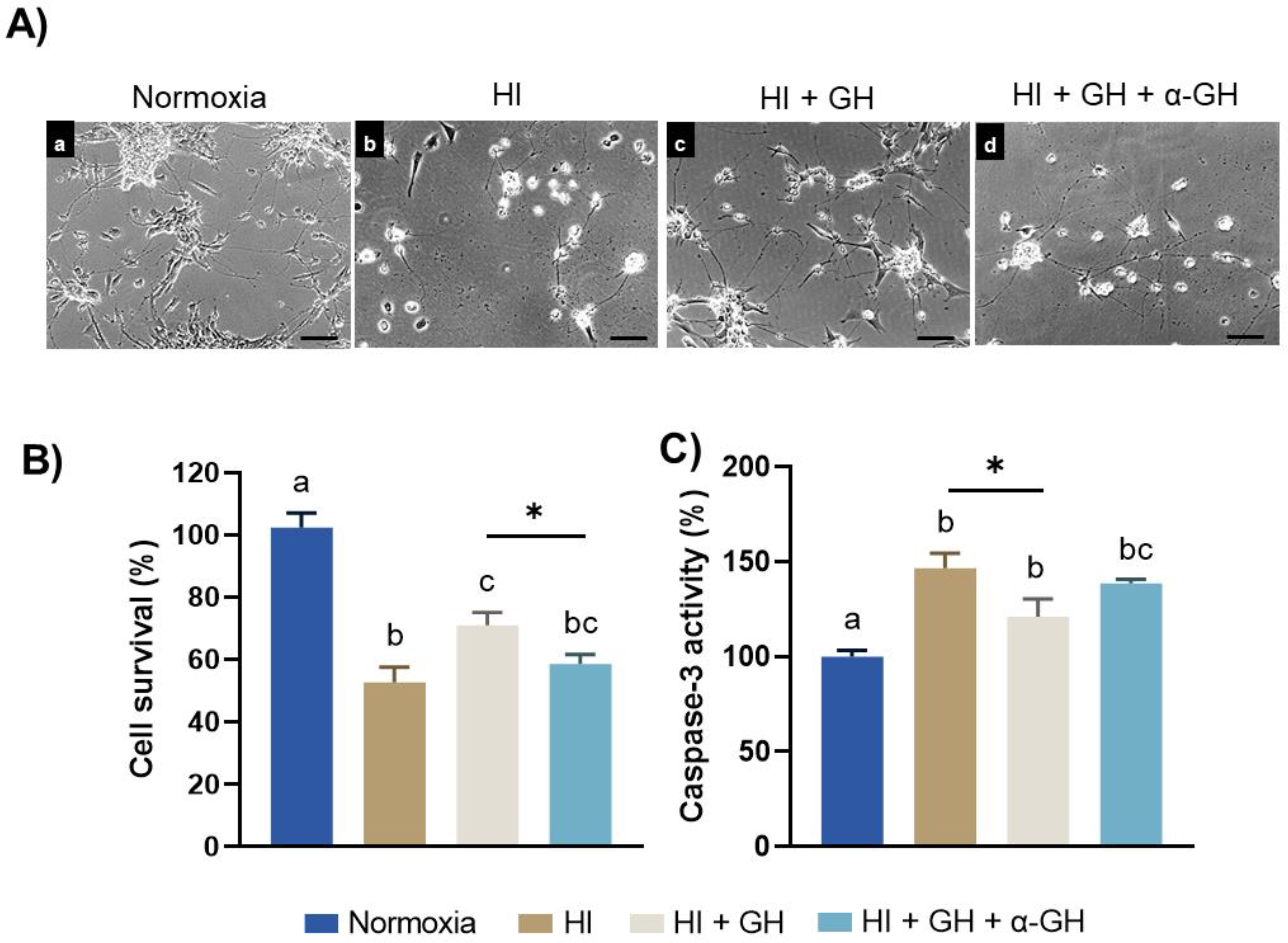 Ijms 23 09054 g001 550