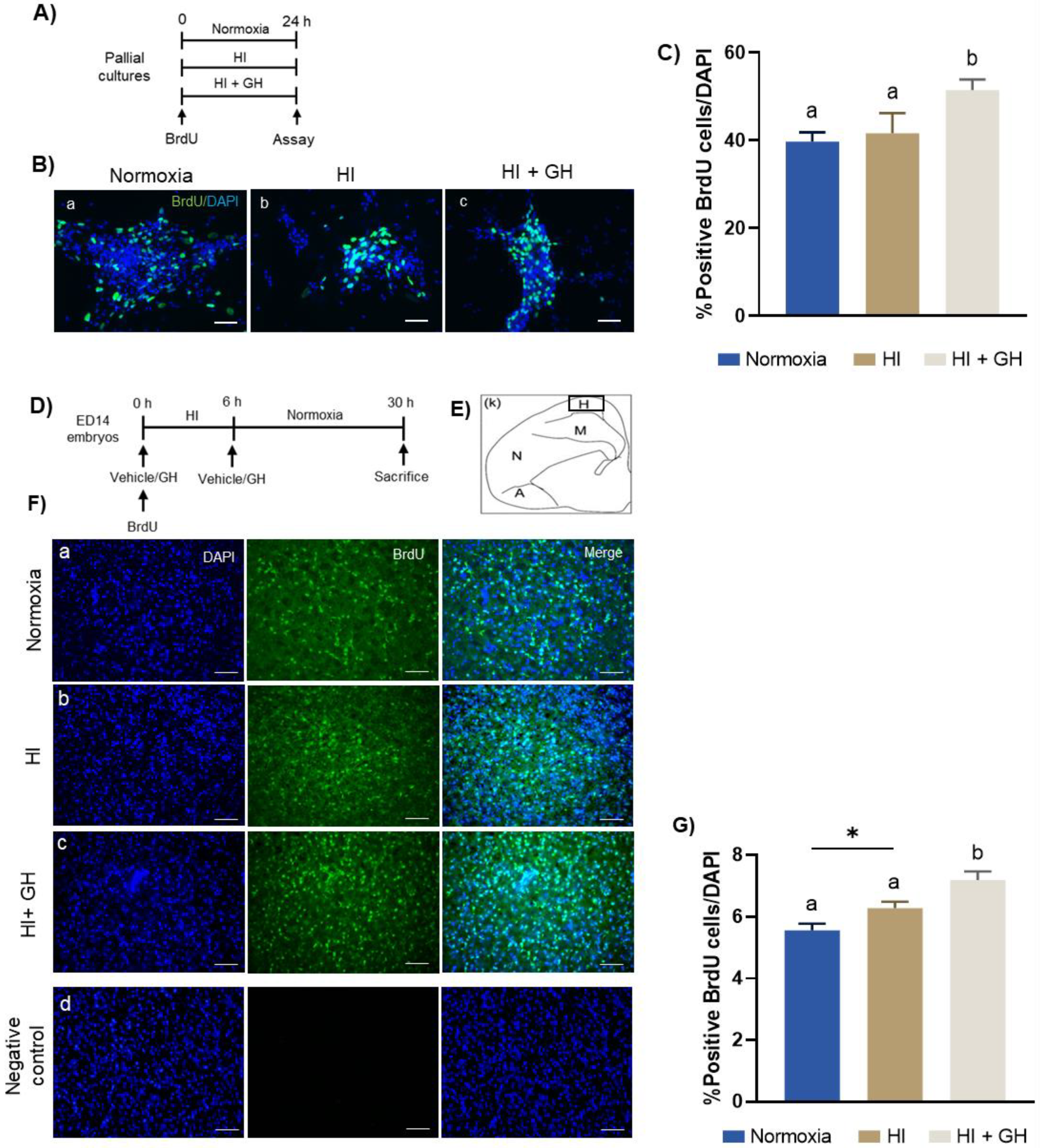 Ijms 23 09054 g004 550