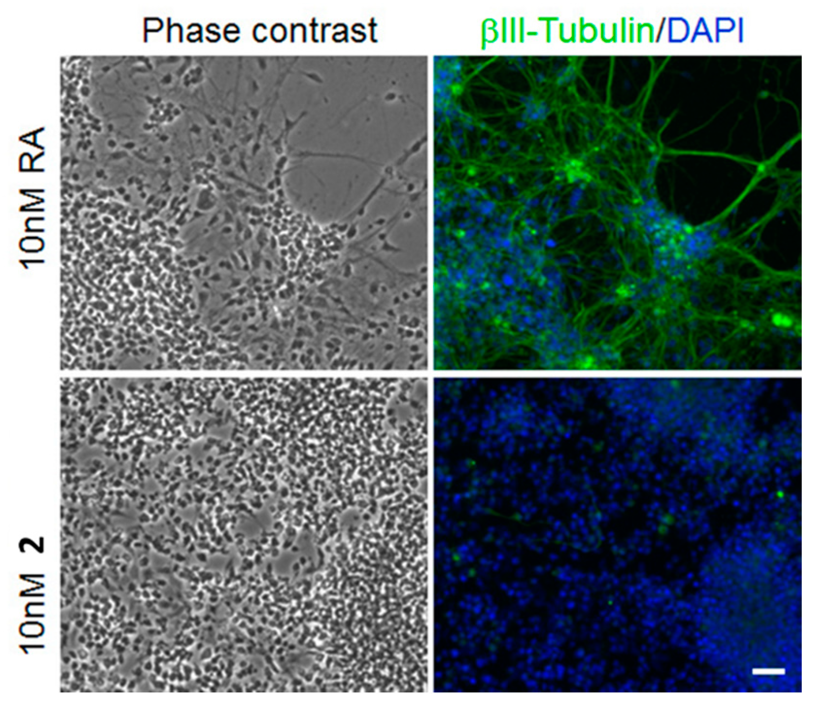Ijms 23 09056 g003 550