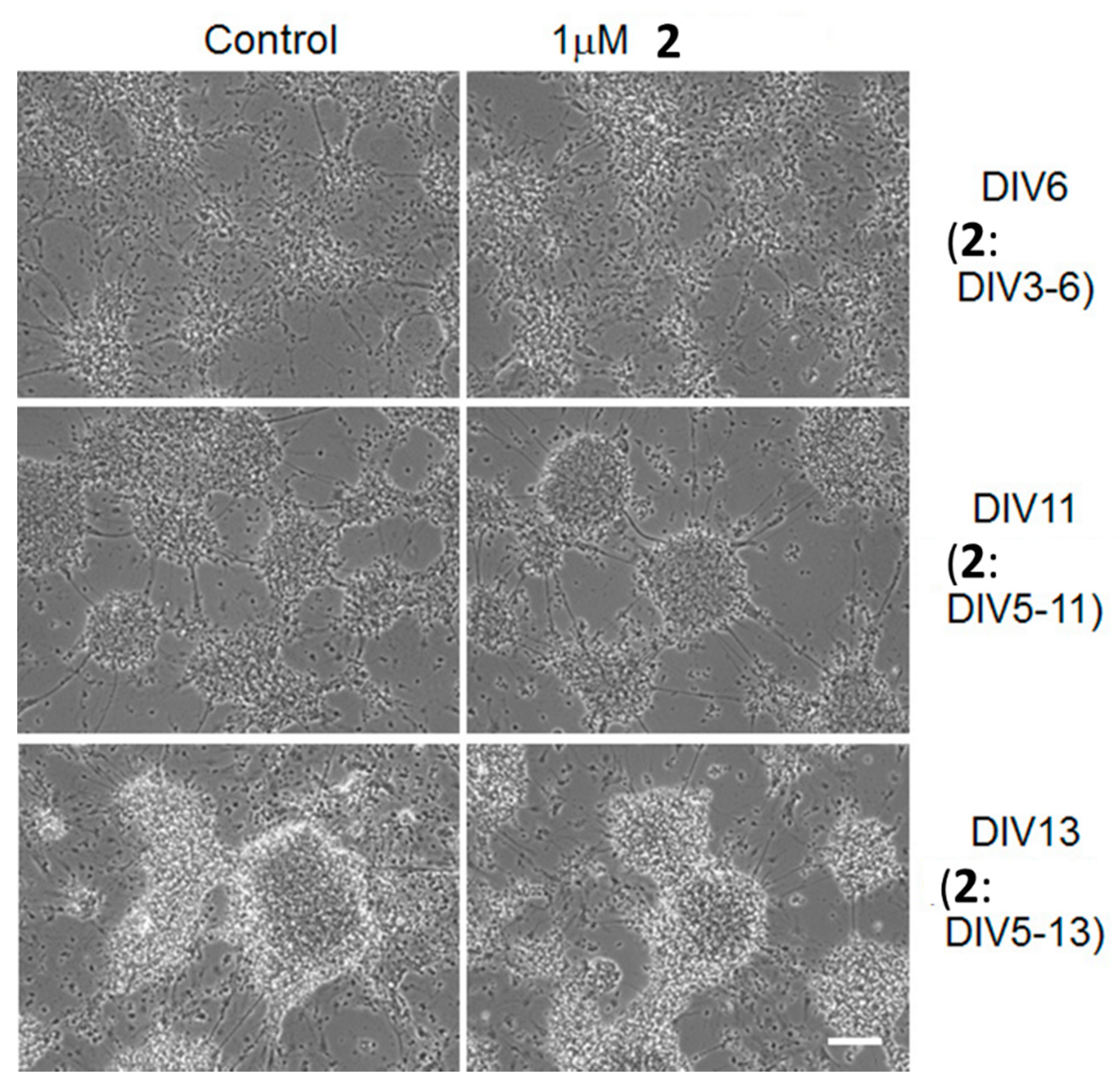 Ijms 23 09056 g005 550