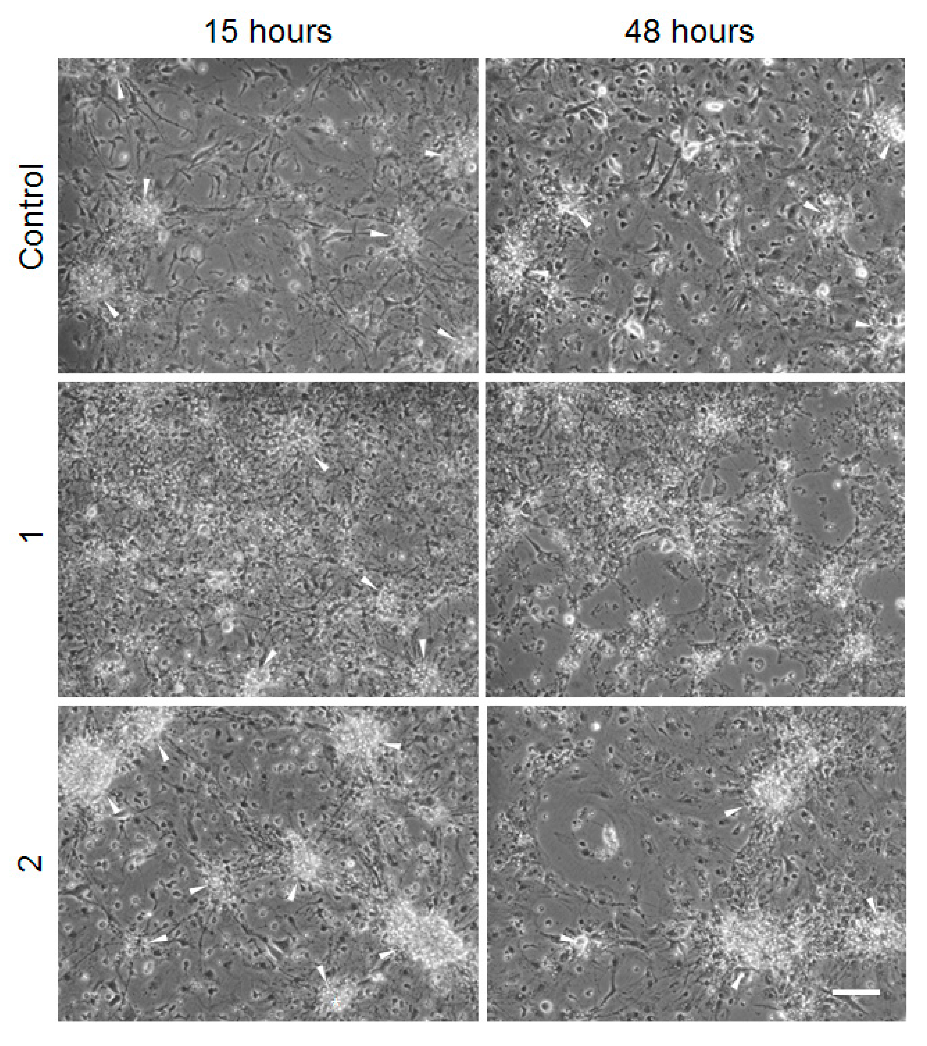 Ijms 23 09056 g008 550