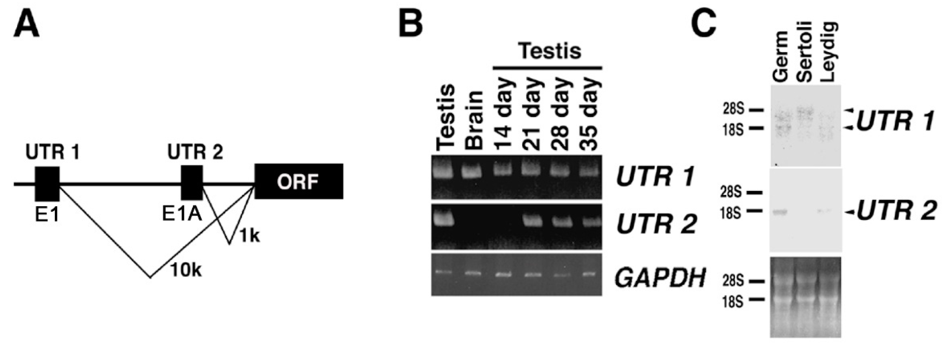 Ijms 23 09060 g003 Ijms 23 09060 g003