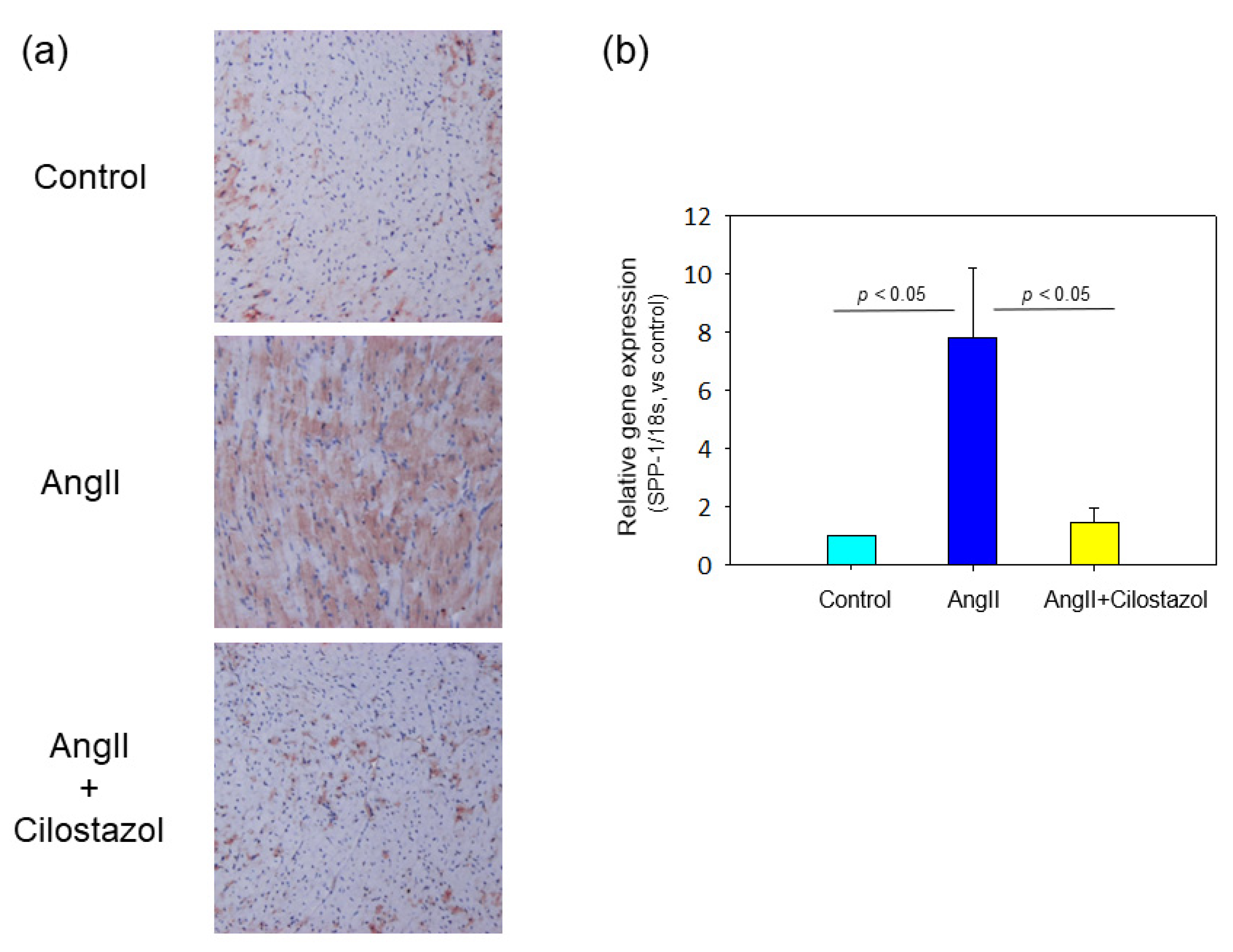 Ijms 23 09065 g004 550