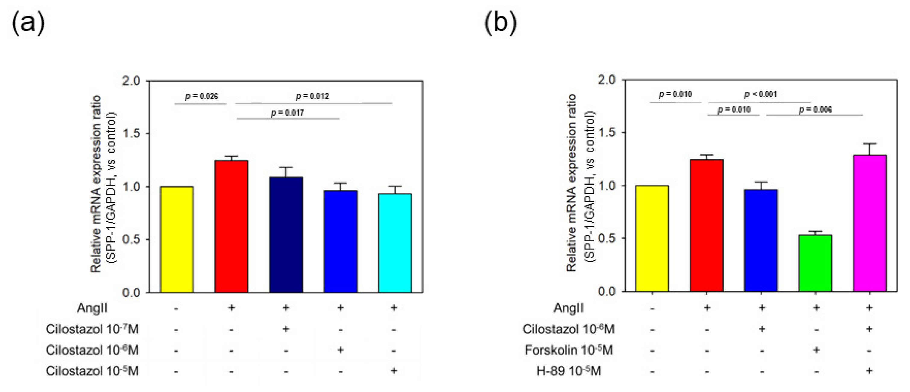 Ijms 23 09065 g005 550