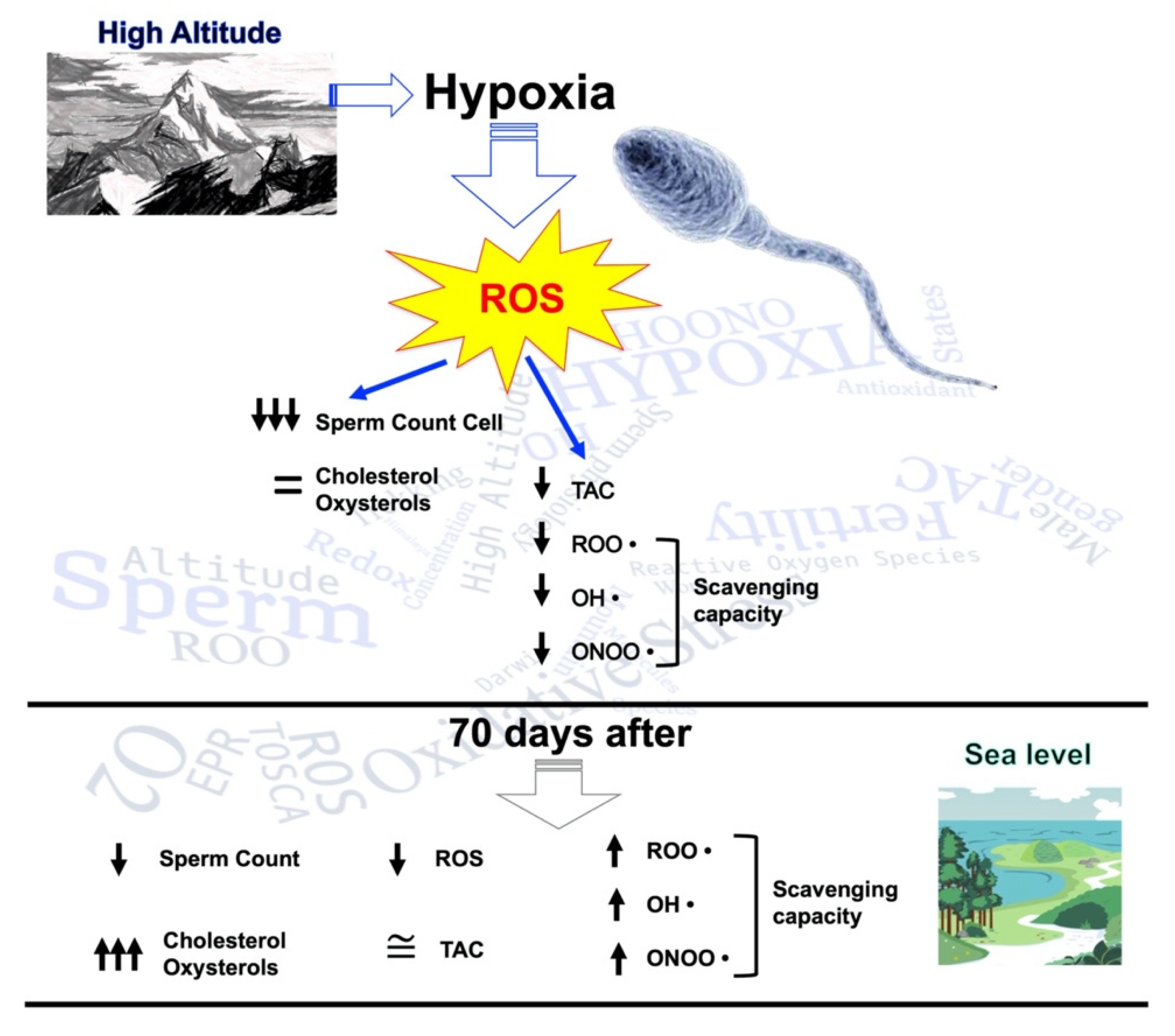 Ijms 23 09066 g006 Ijms 23 09066 g006