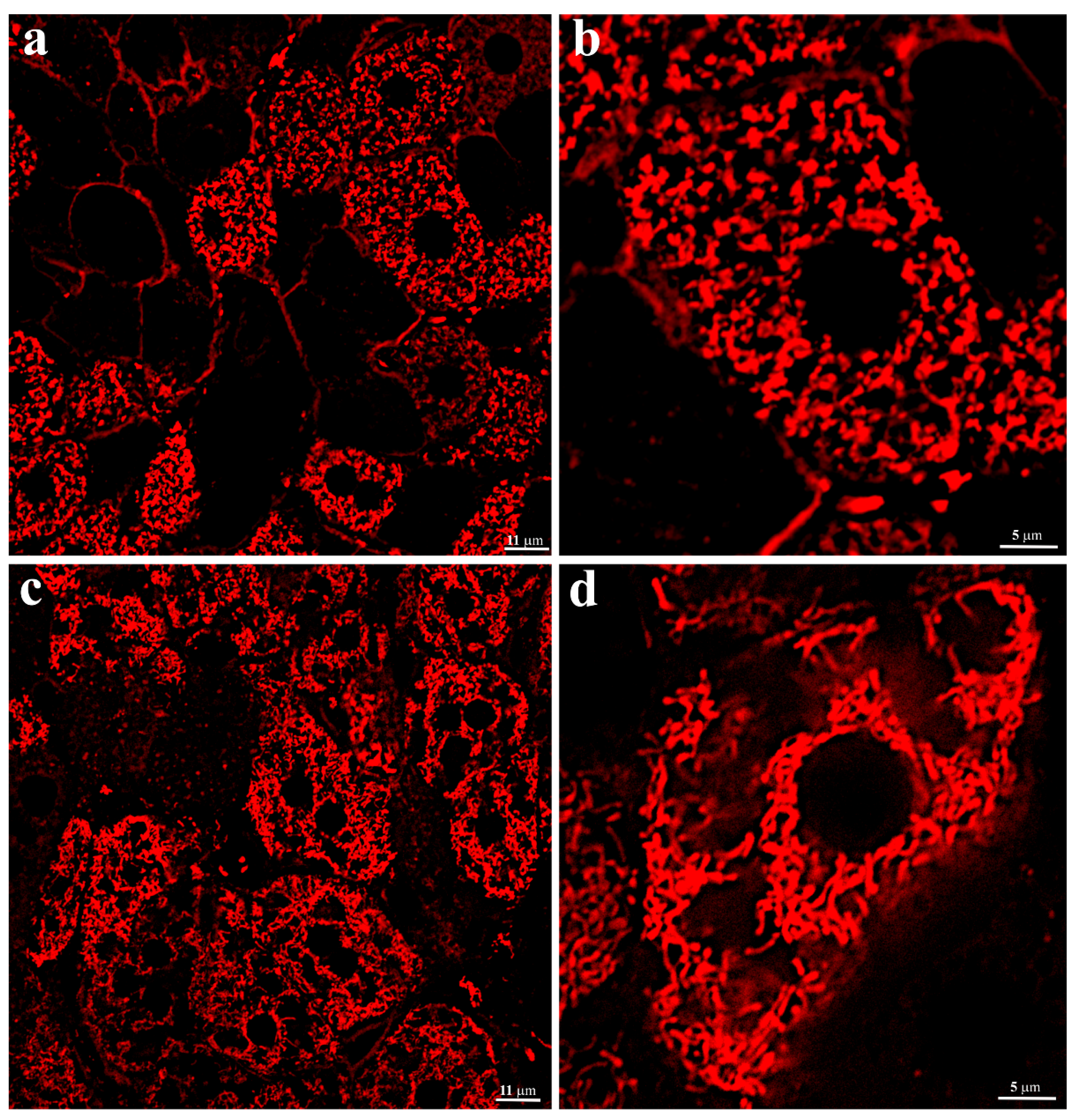 Ijms 23 09067 g002 550