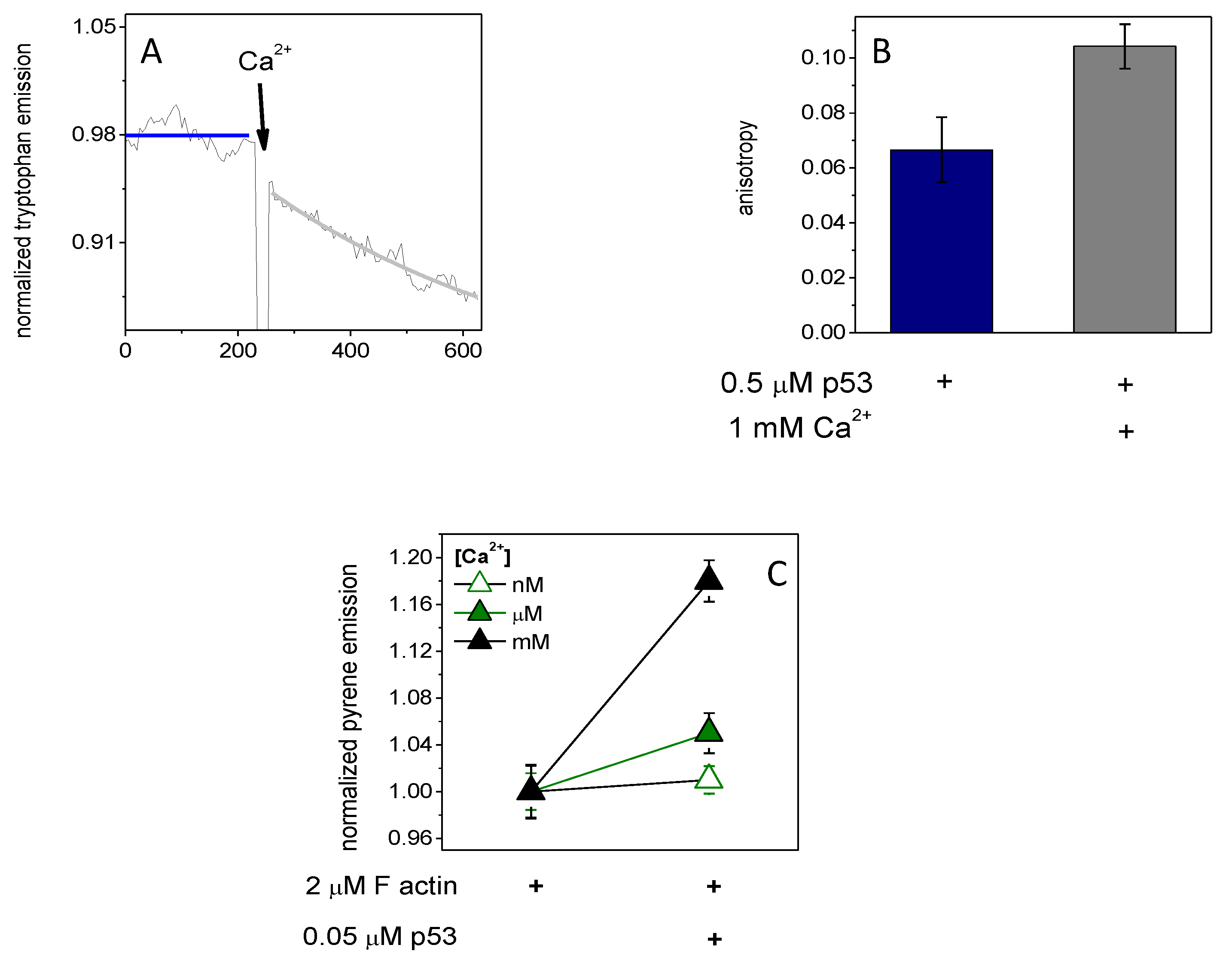 Ijms 23 09078 g001 Ijms 23 09078 g001