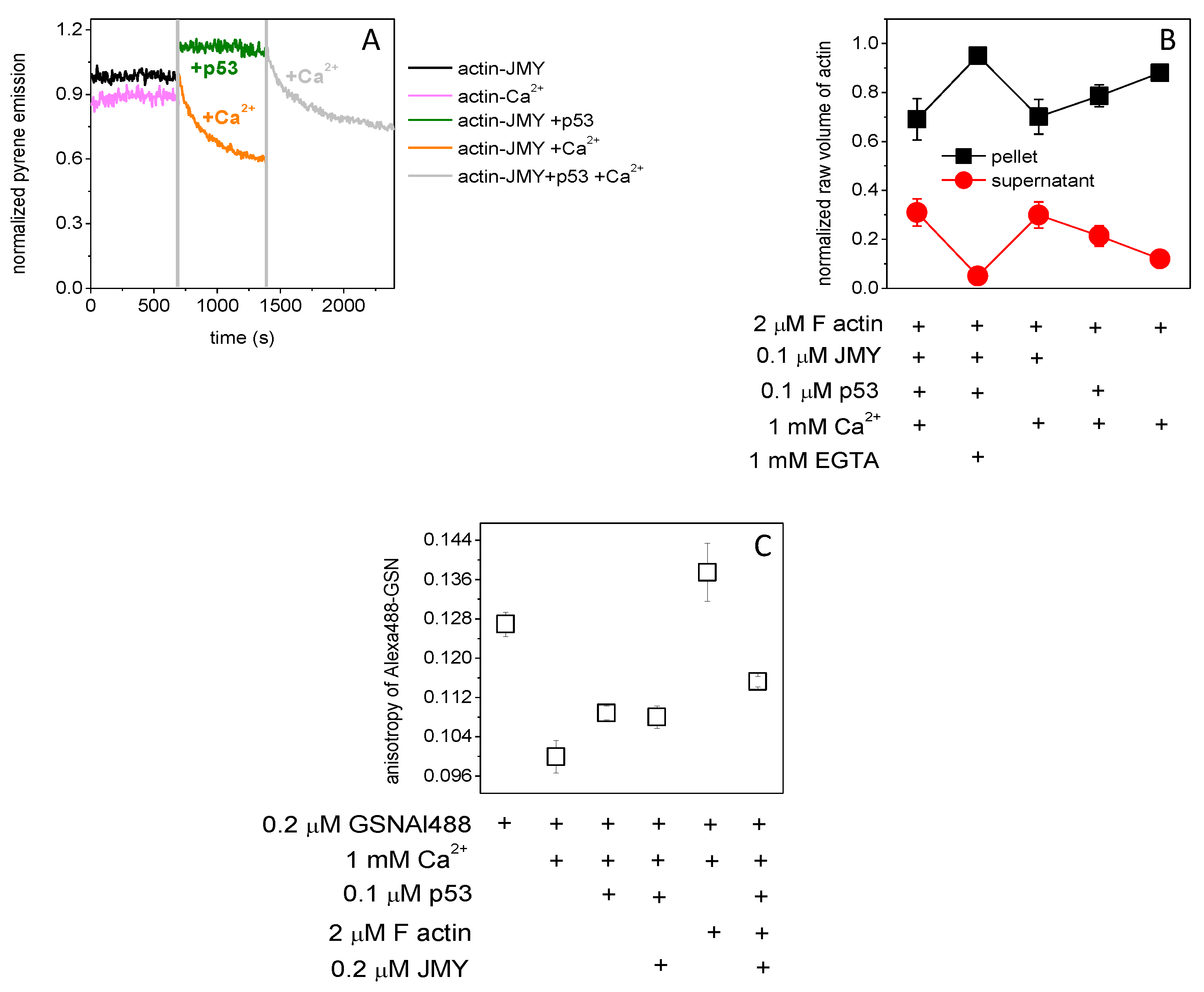 Ijms 23 09078 g002 Ijms 23 09078 g002