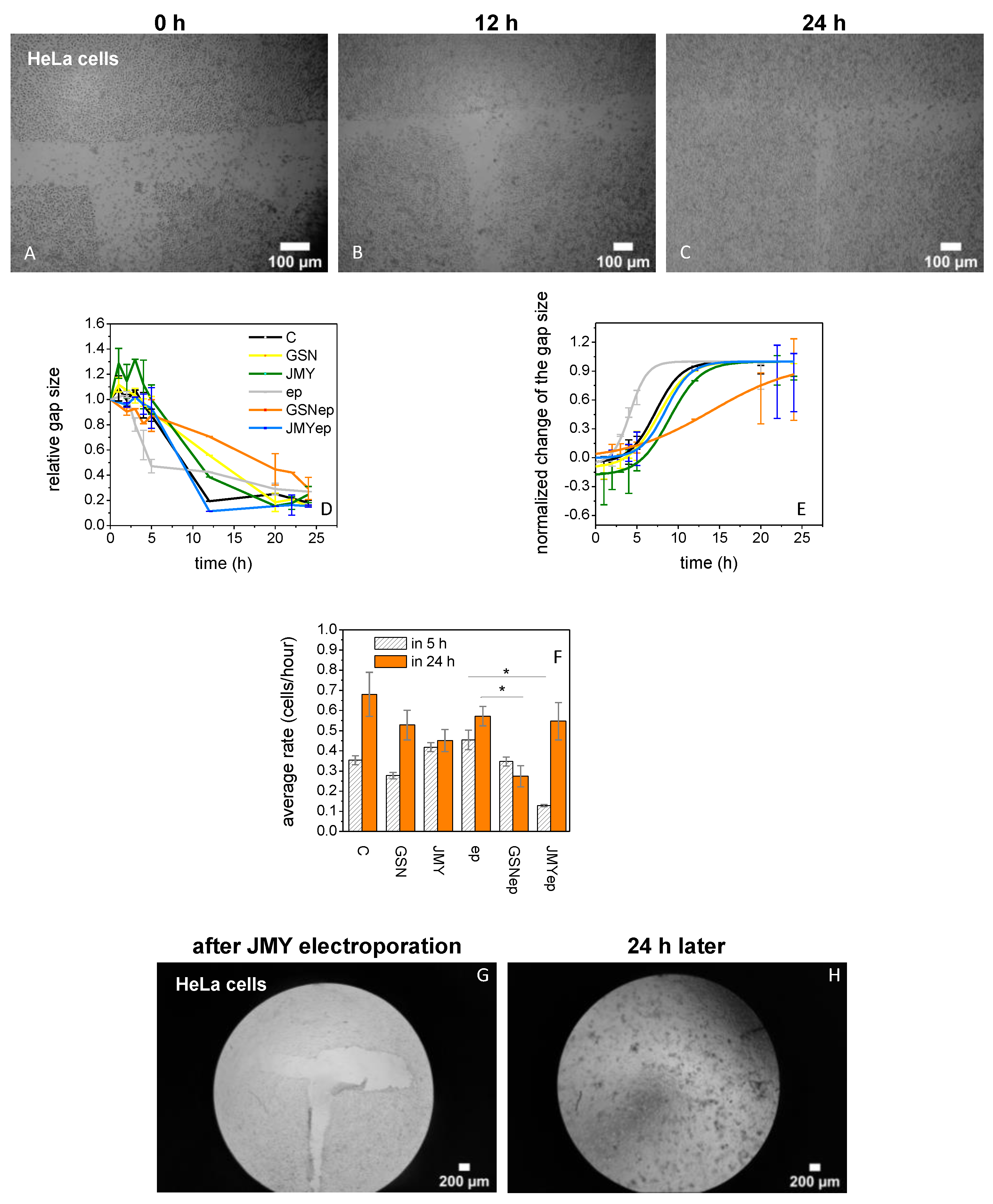 Ijms 23 09078 g005 Ijms 23 09078 g005