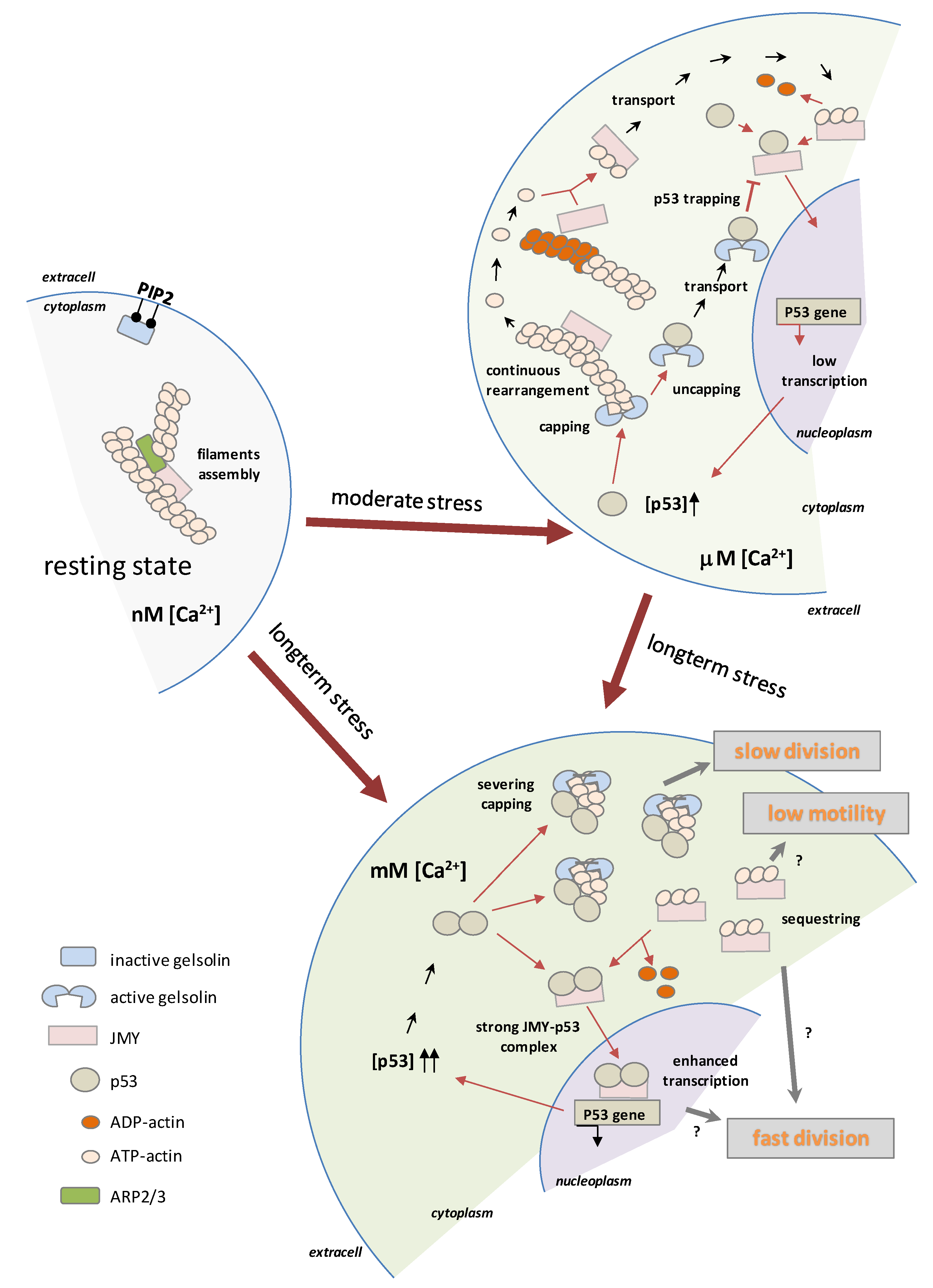 Ijms 23 09078 g006 Ijms 23 09078 g006