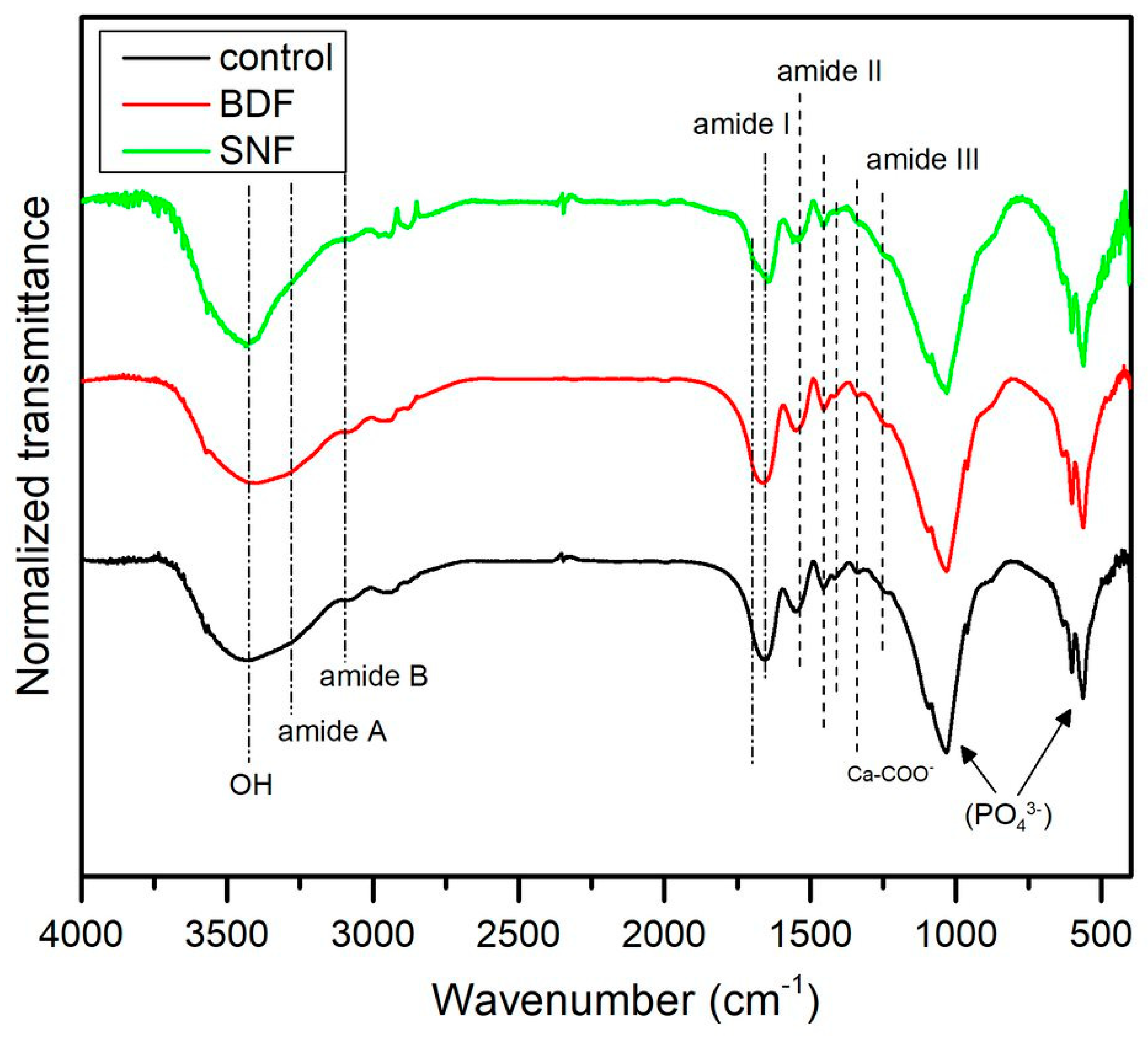 Ijms 23 09083 g002 550