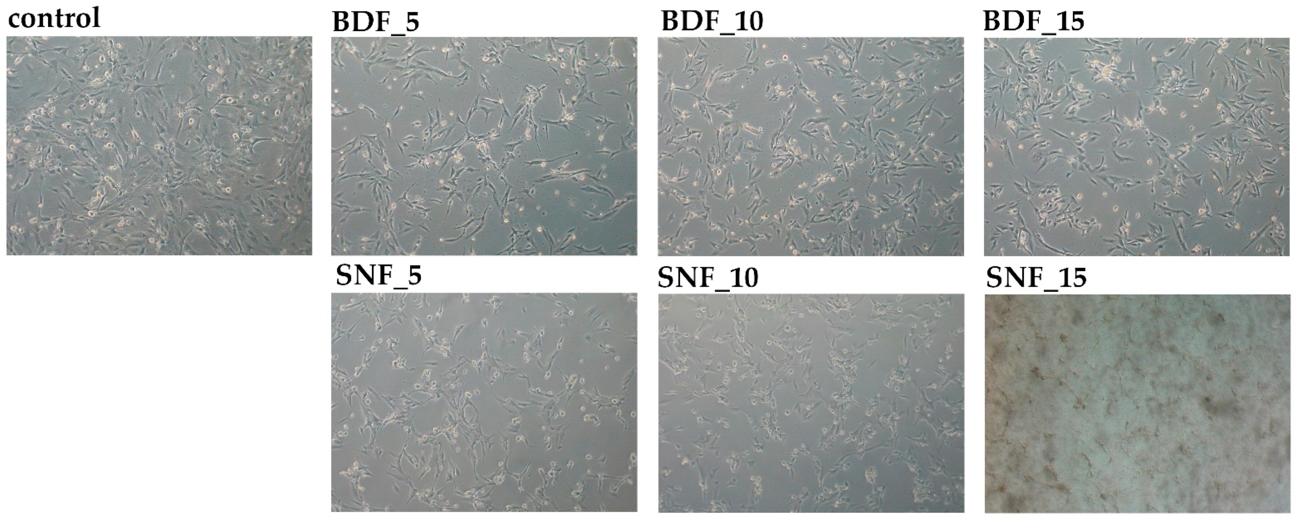 Ijms 23 09083 g008 550