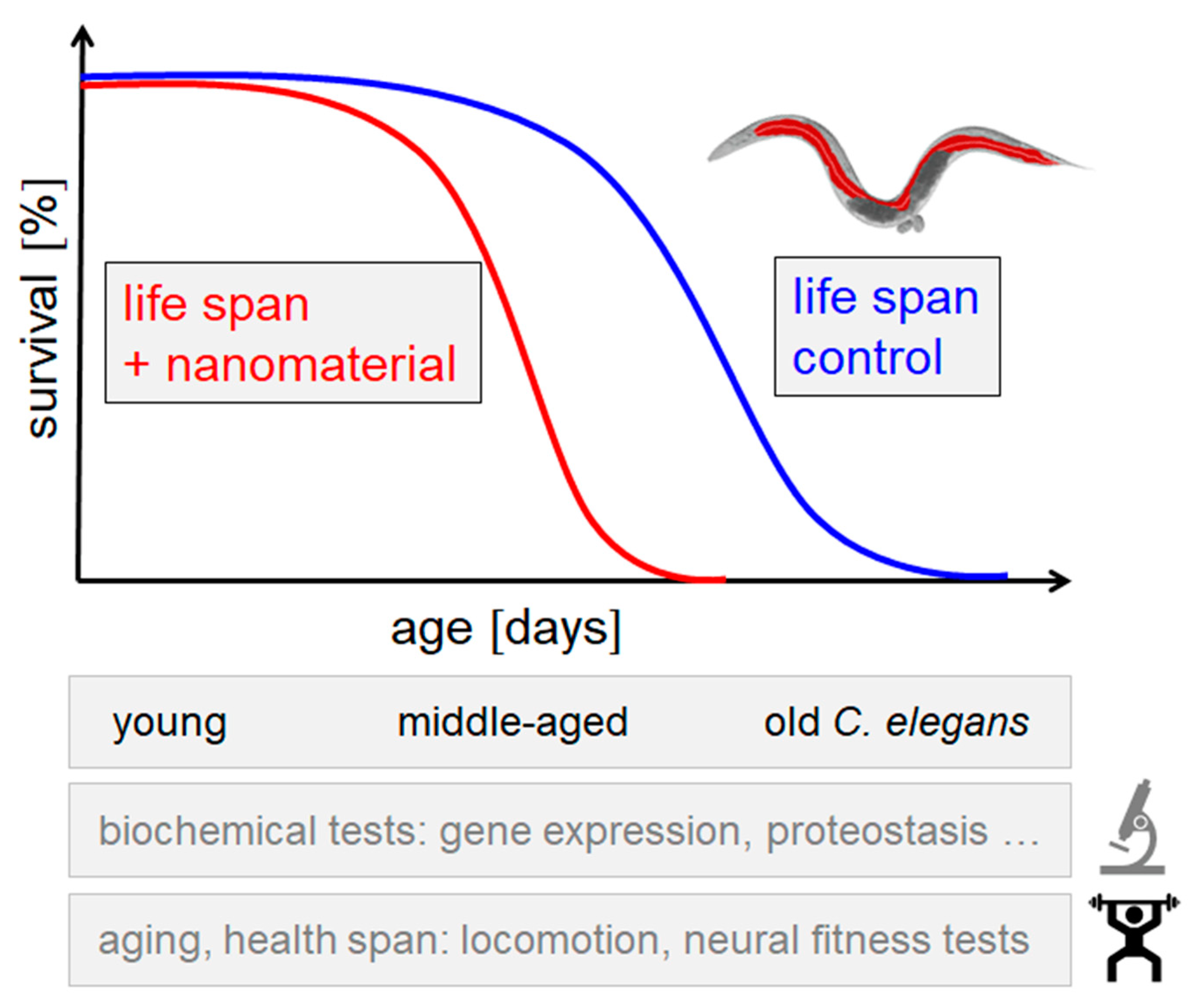 Ijms 23 09084 g002 550