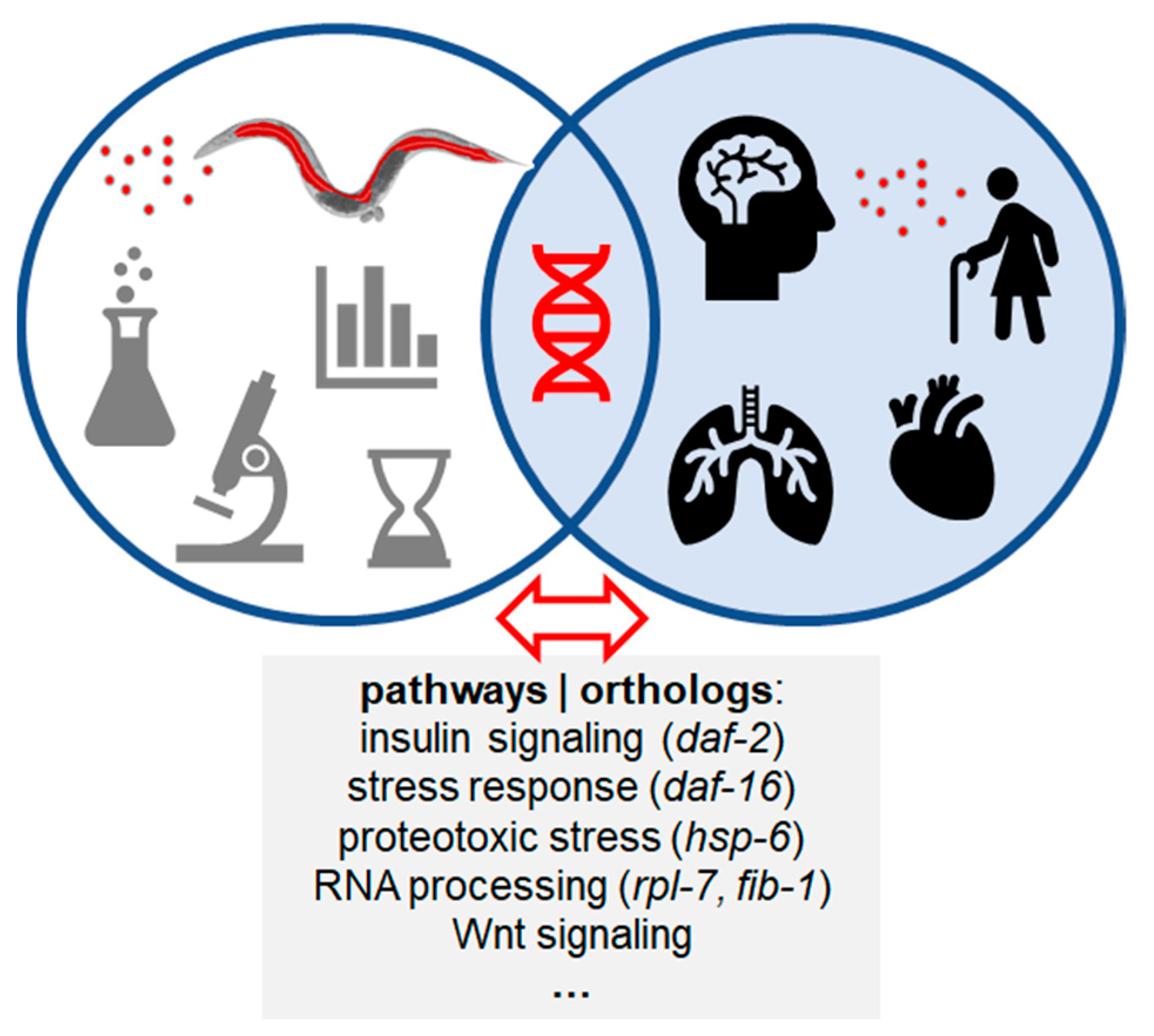 Ijms 23 09084 g003 550
