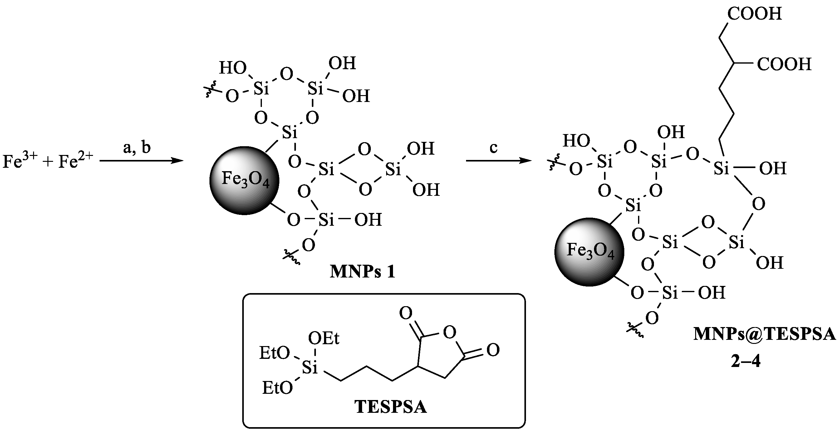 Ijms 23 09093 sch001 550