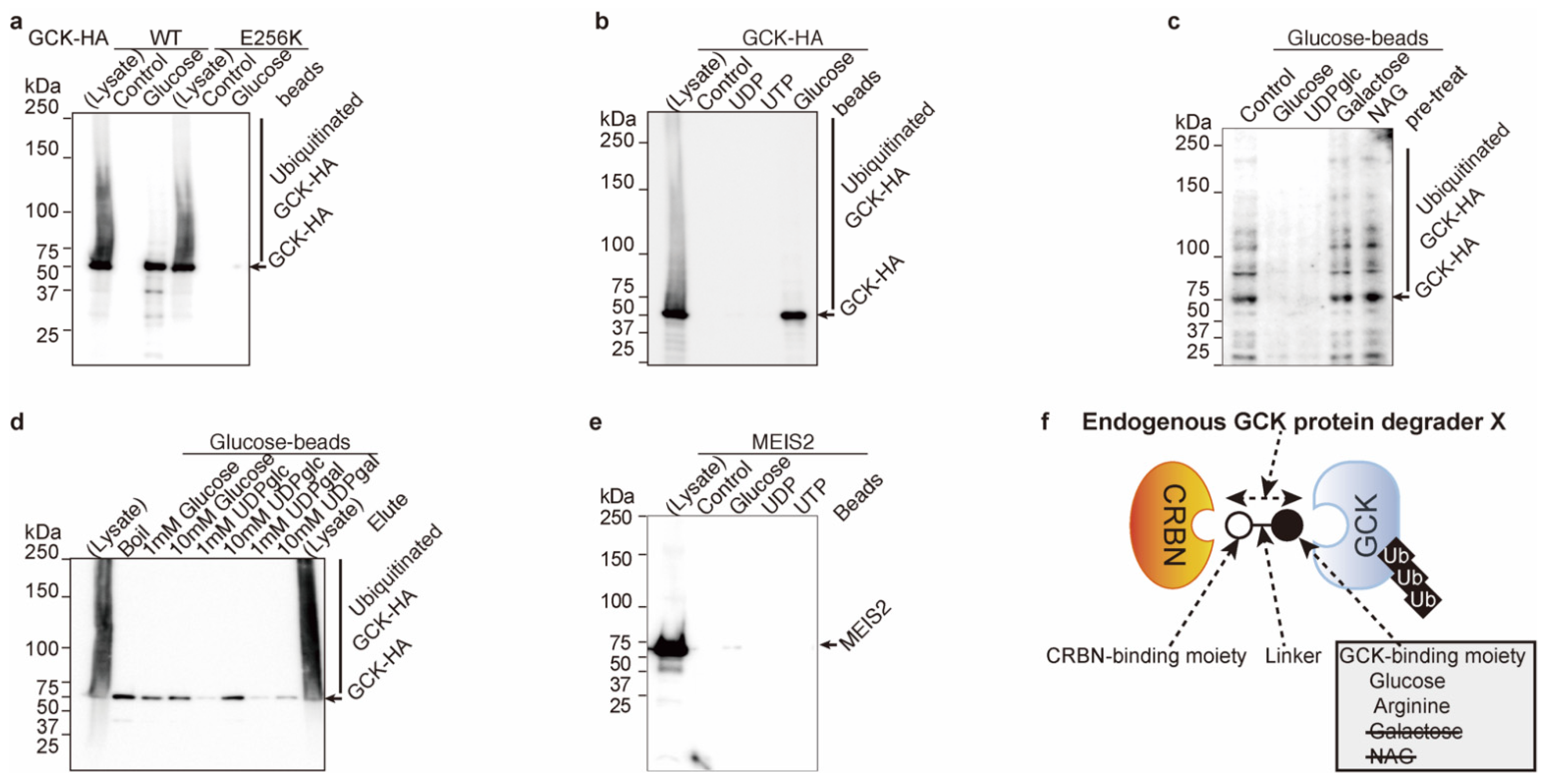 Ijms 23 09094 g001 550