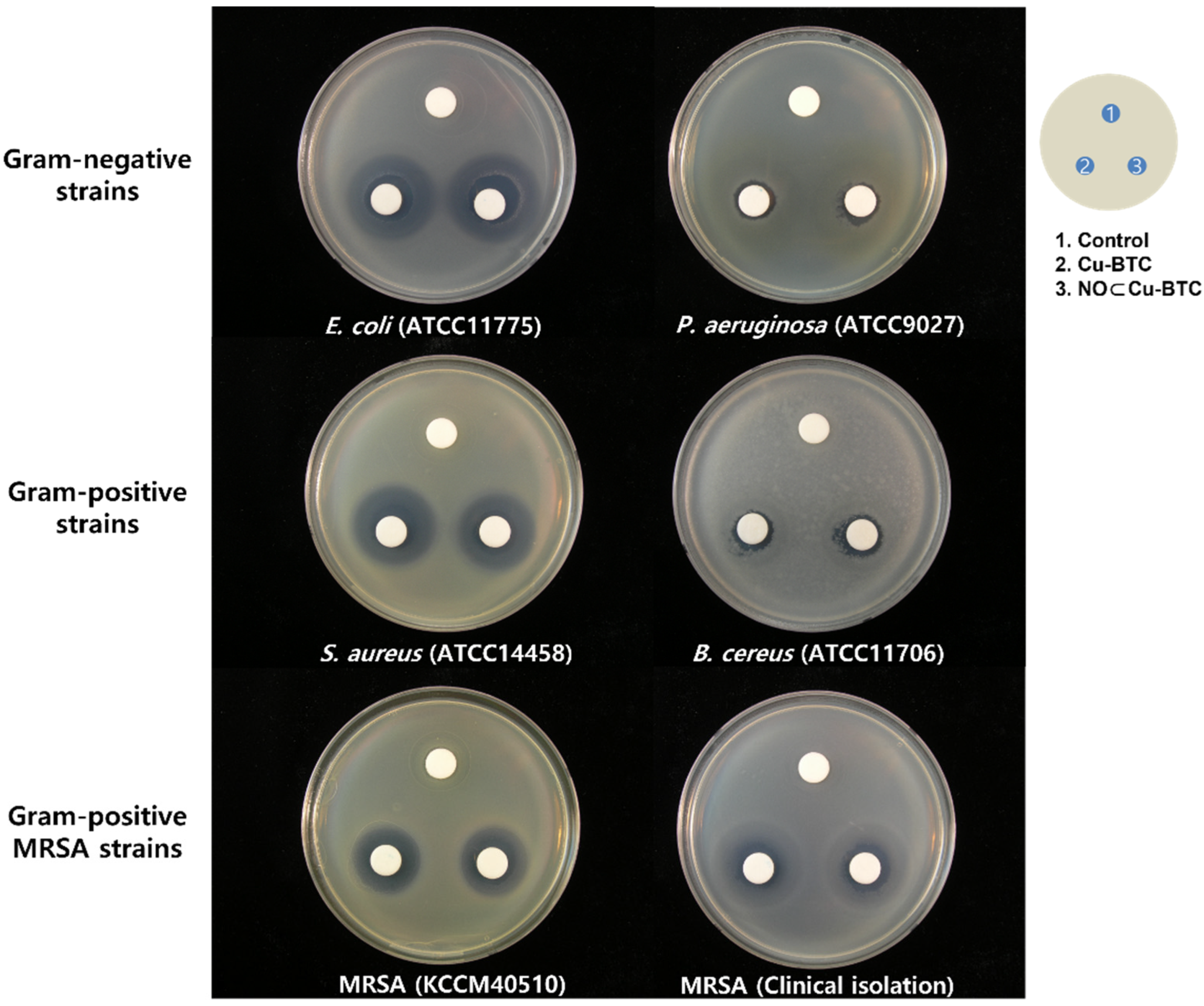 Ijms 23 09098 g011 550