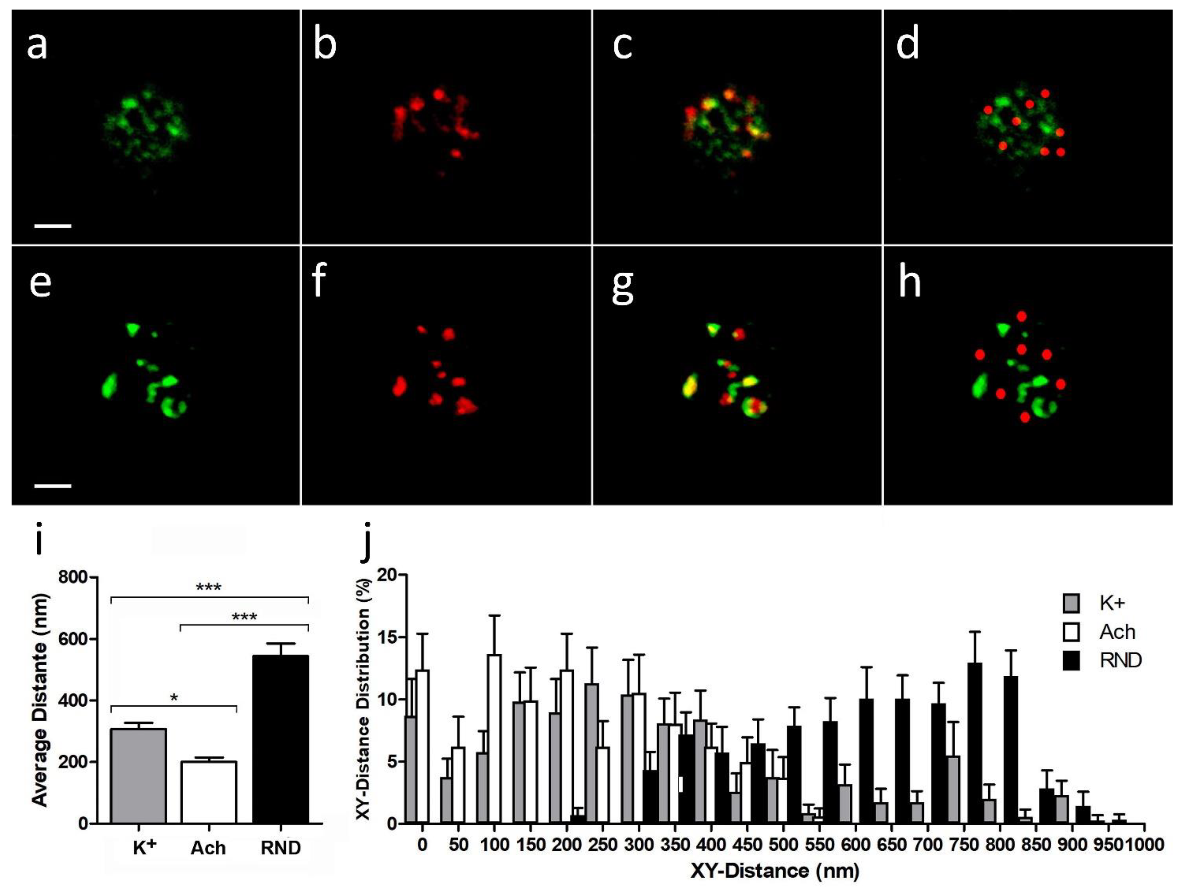 Ijms 23 09101 g002 550
