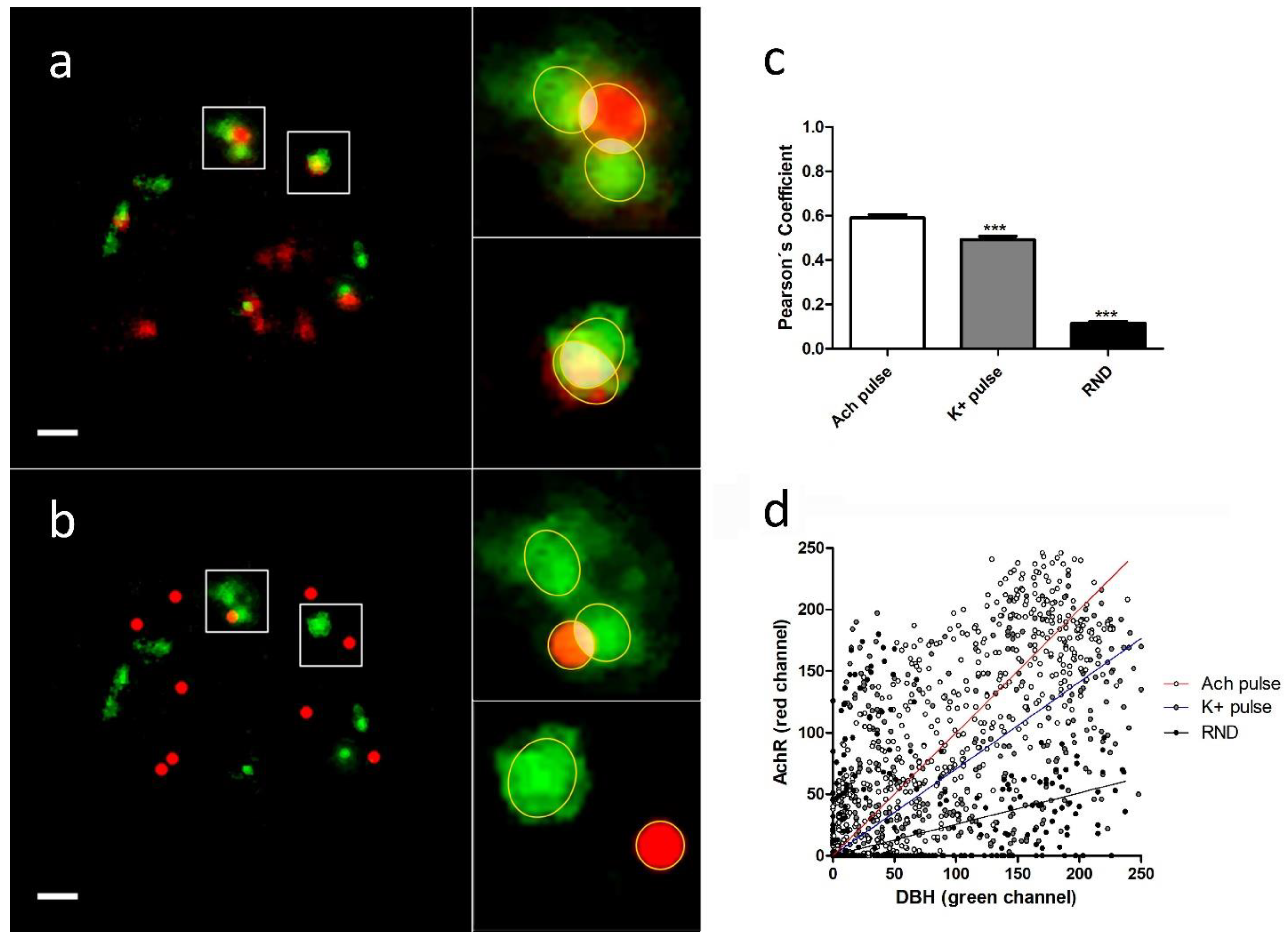 Ijms 23 09101 g003 550