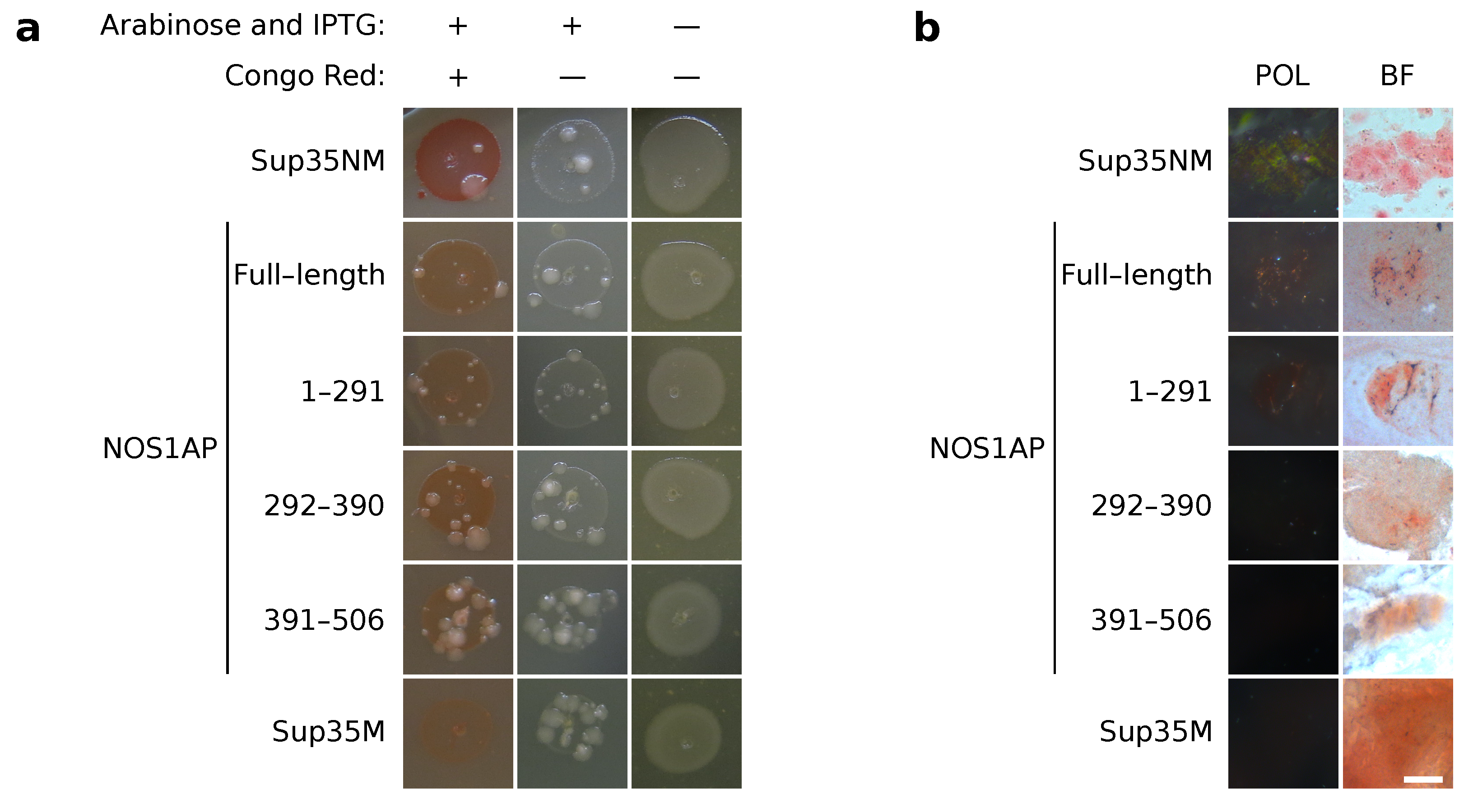 Ijms 23 09102 g002 Ijms 23 09102 g002