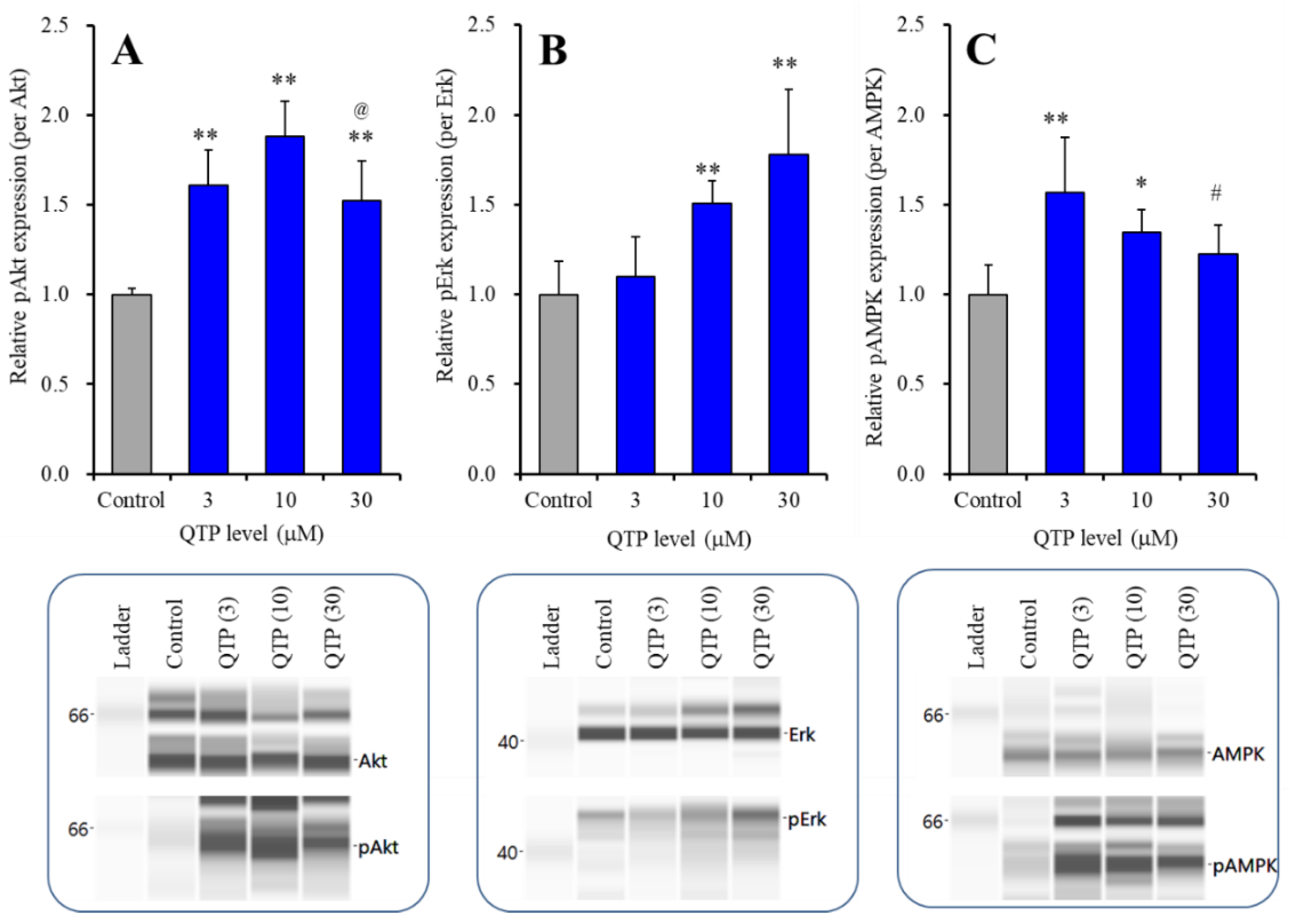 Ijms 23 09103 g004 550