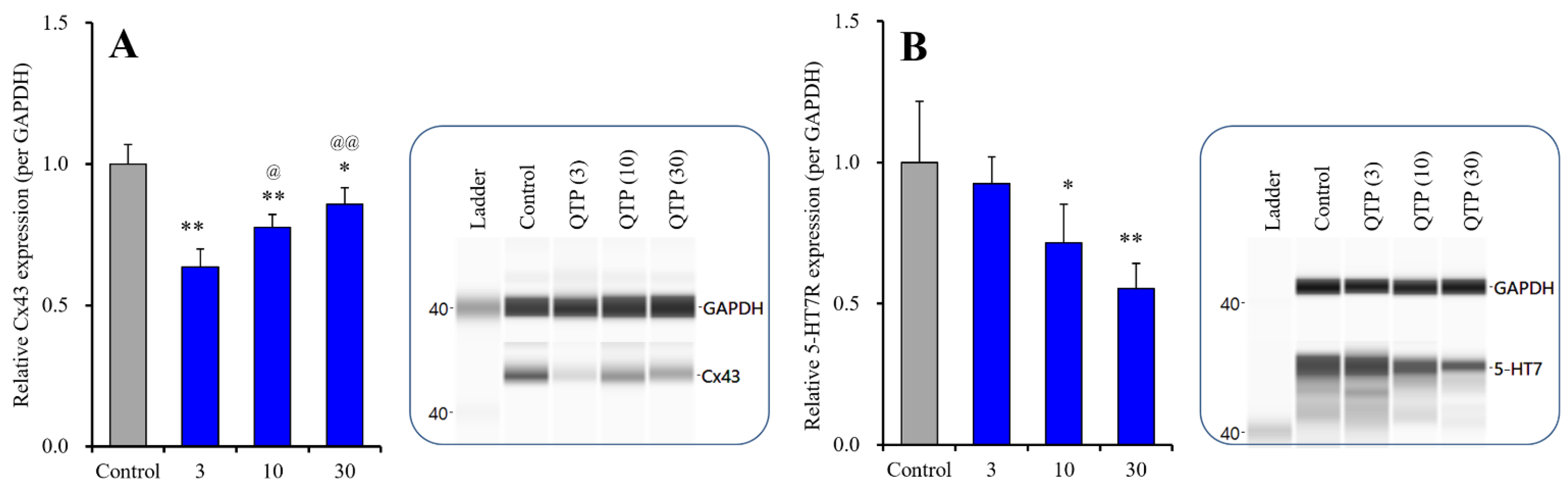 Ijms 23 09103 g005 550