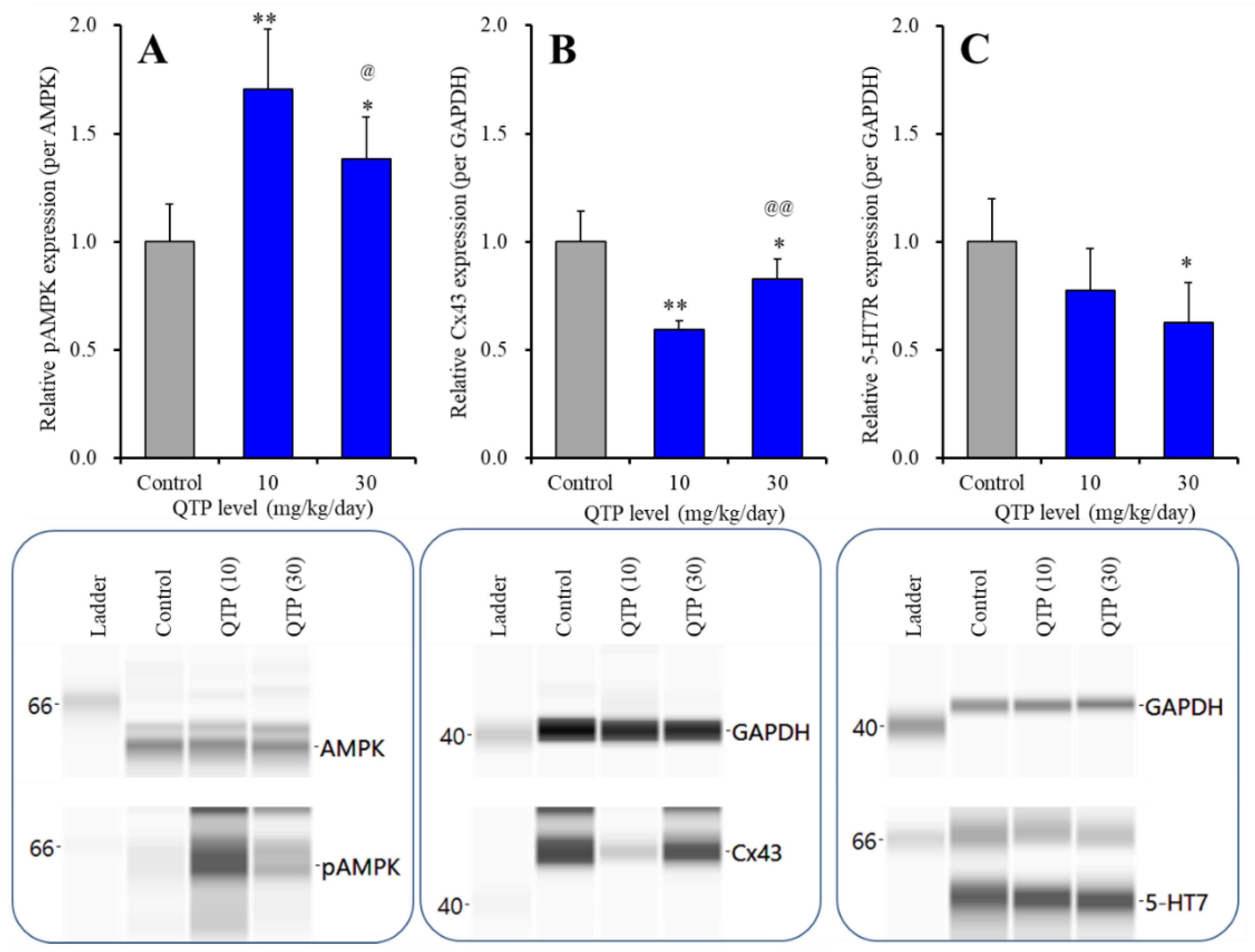 Ijms 23 09103 g007 550