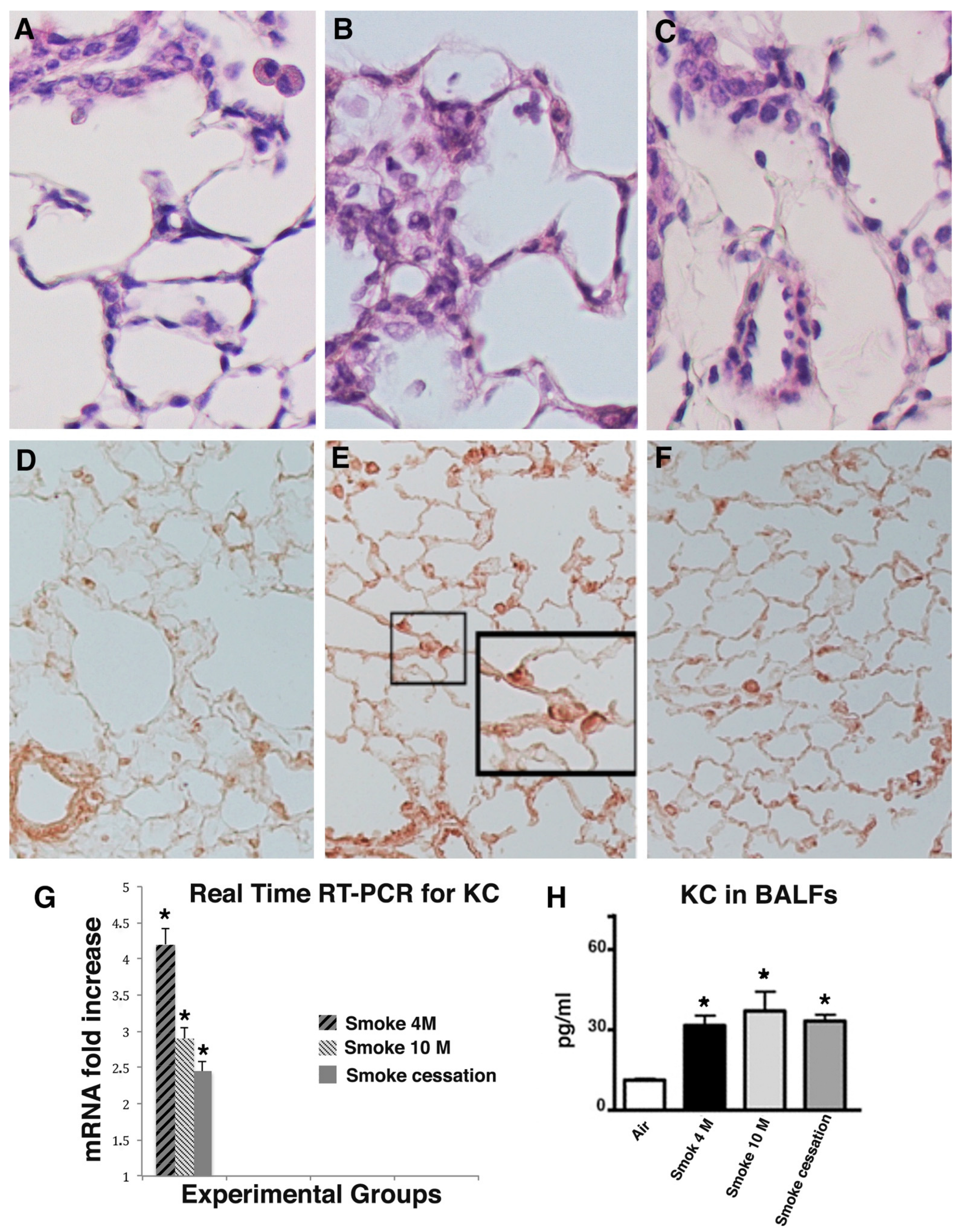 Ijms 23 09104 g002 550