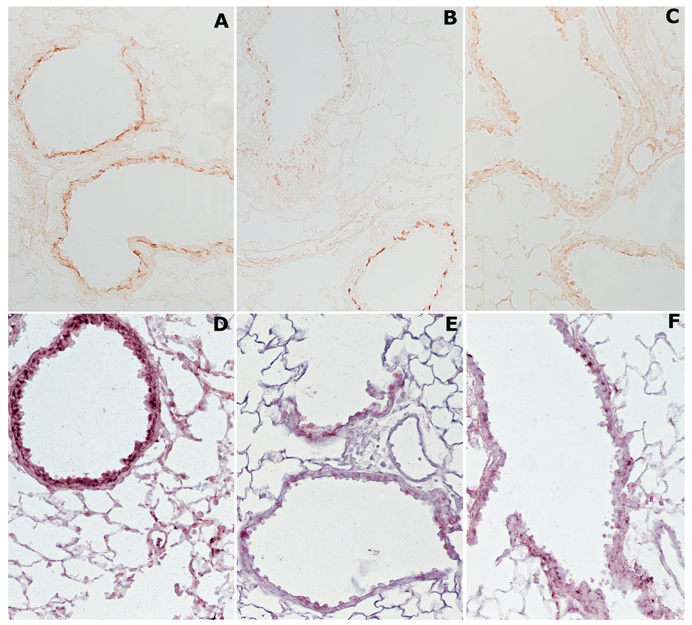 Ijms 23 09104 g003 550