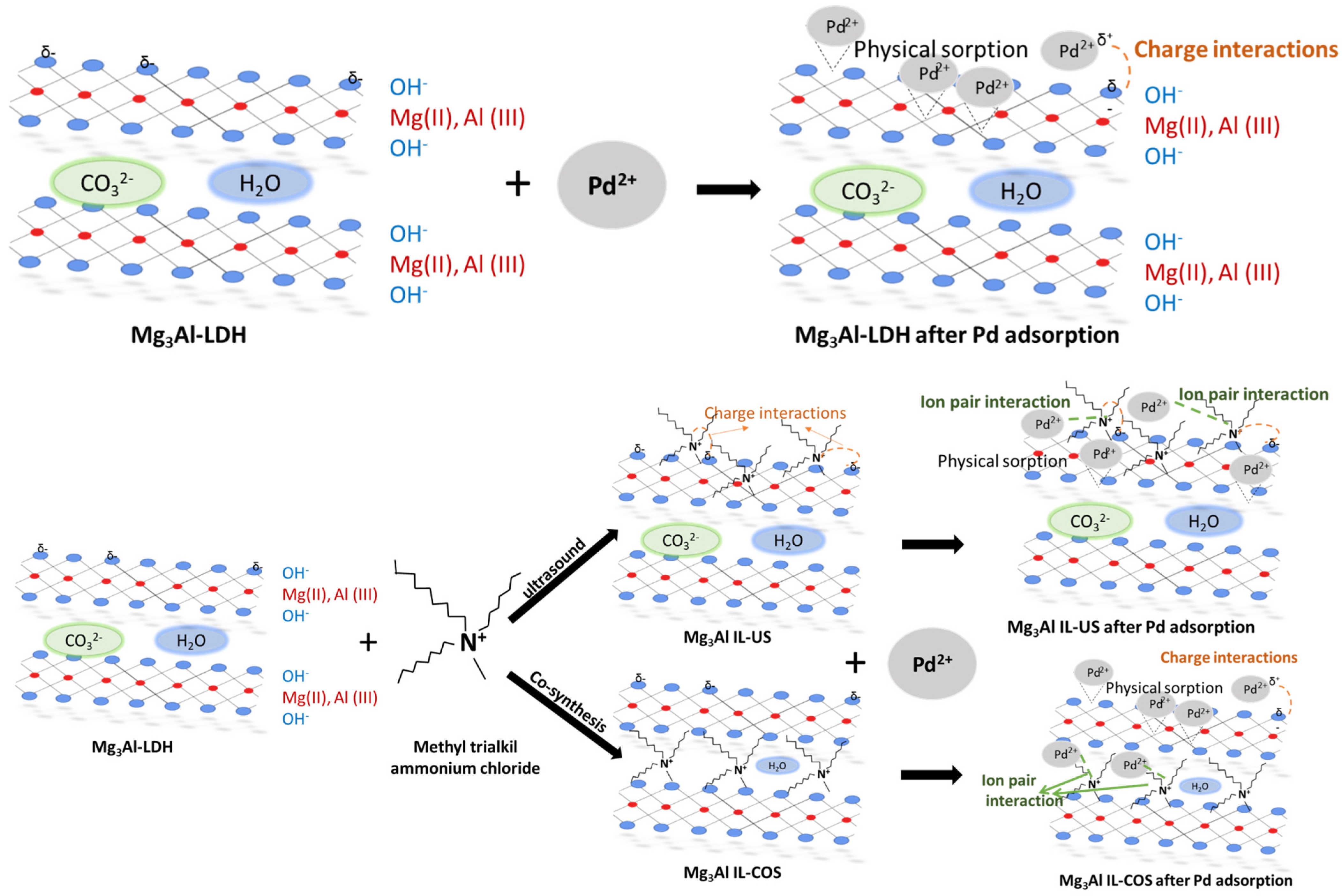 Ijms 23 09107 g015 550