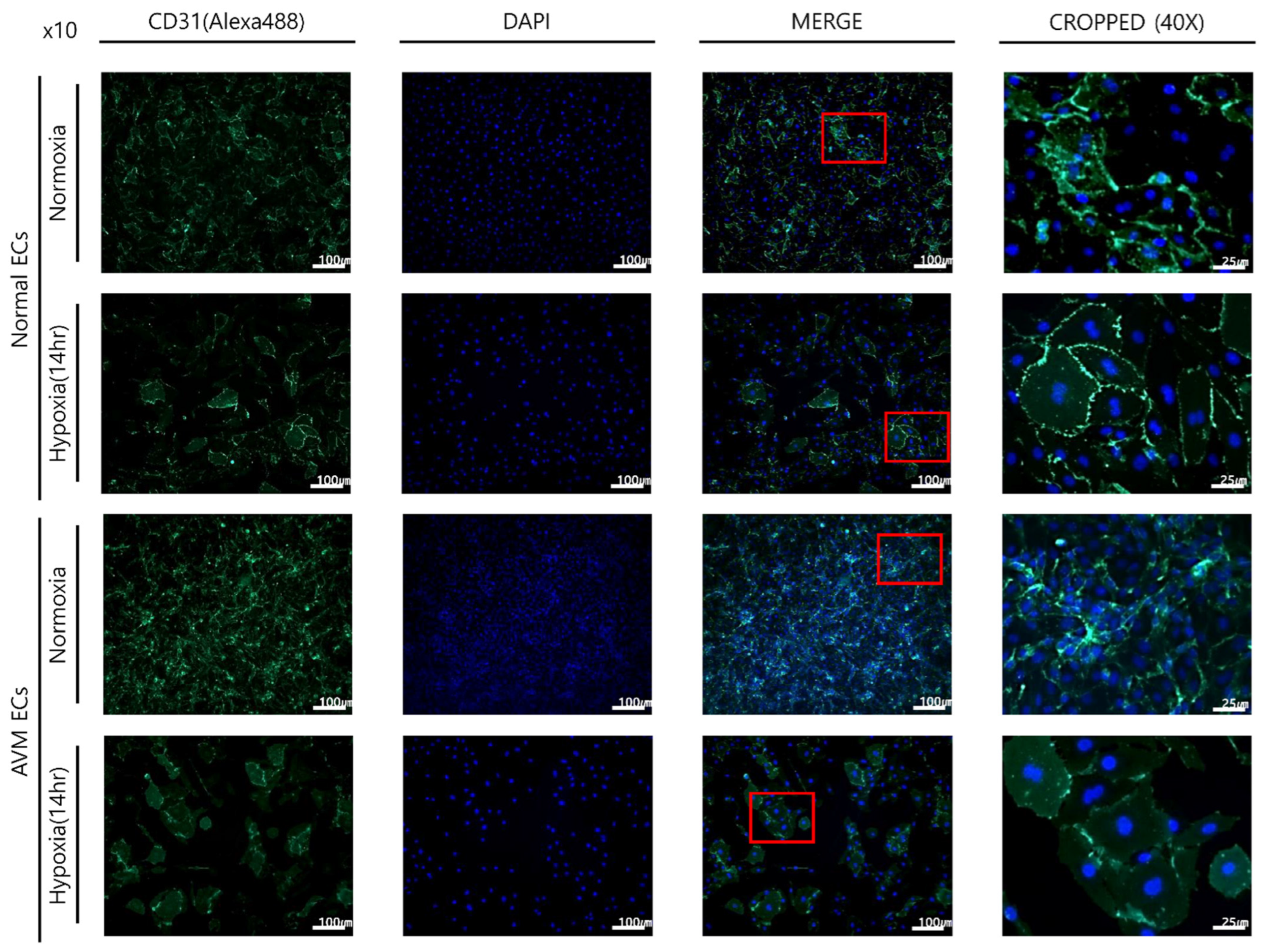 Ijms 23 09109 g001 Ijms 23 09109 g001