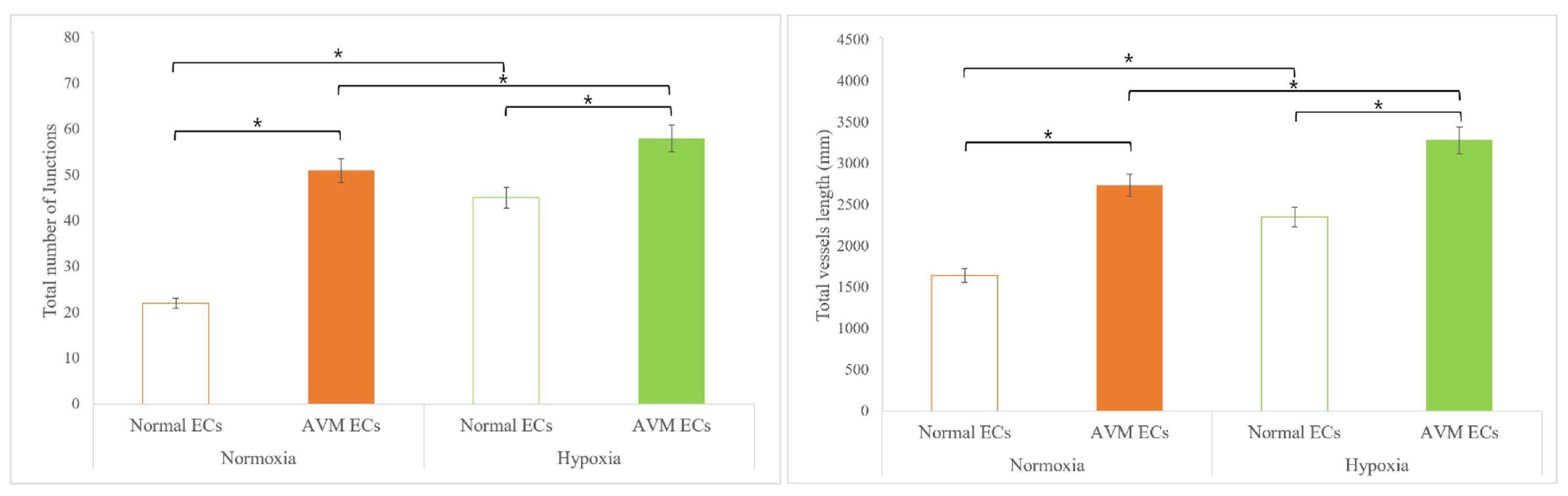 Ijms 23 09109 g004 Ijms 23 09109 g004