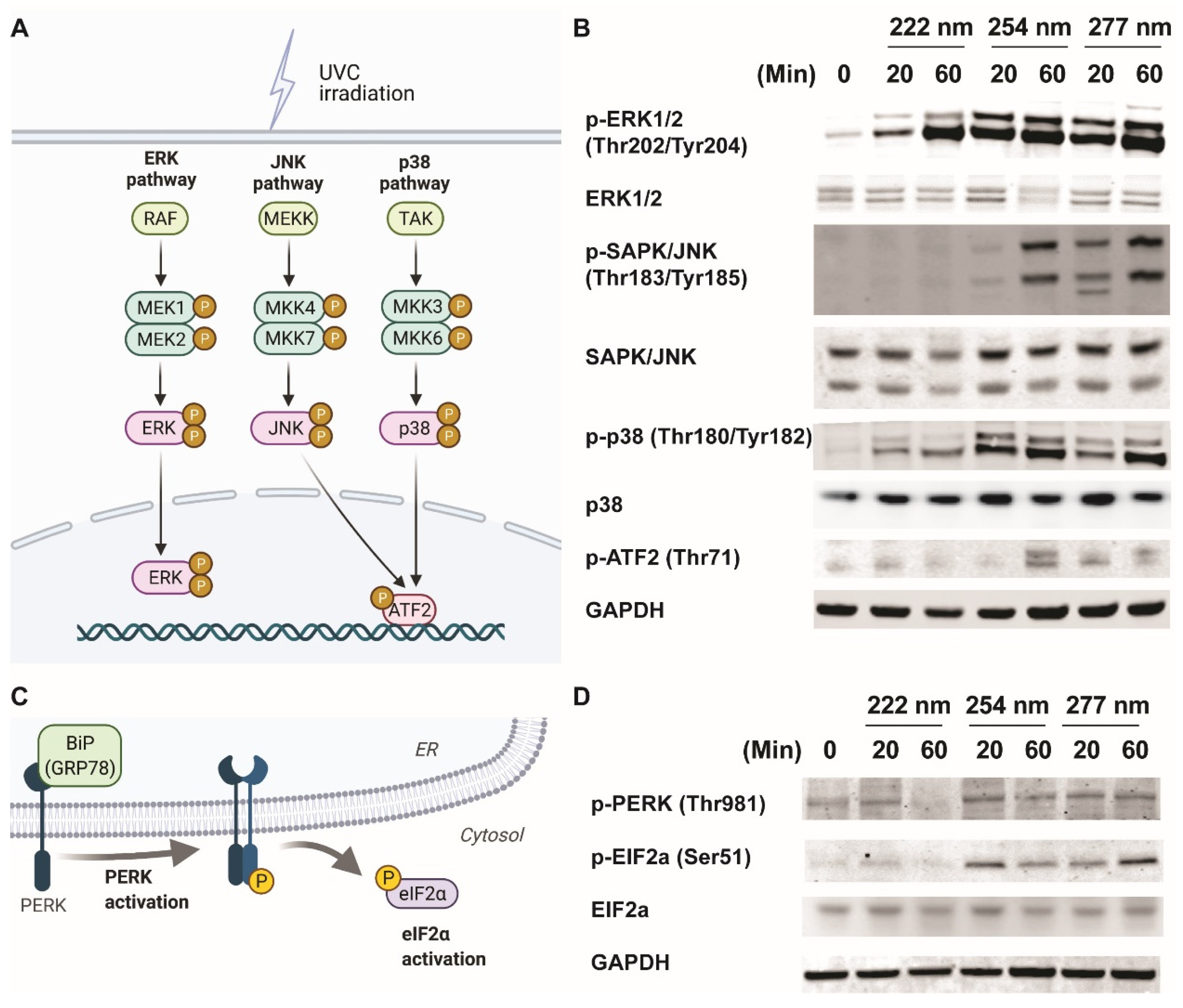 Ijms 23 09112 g002 550