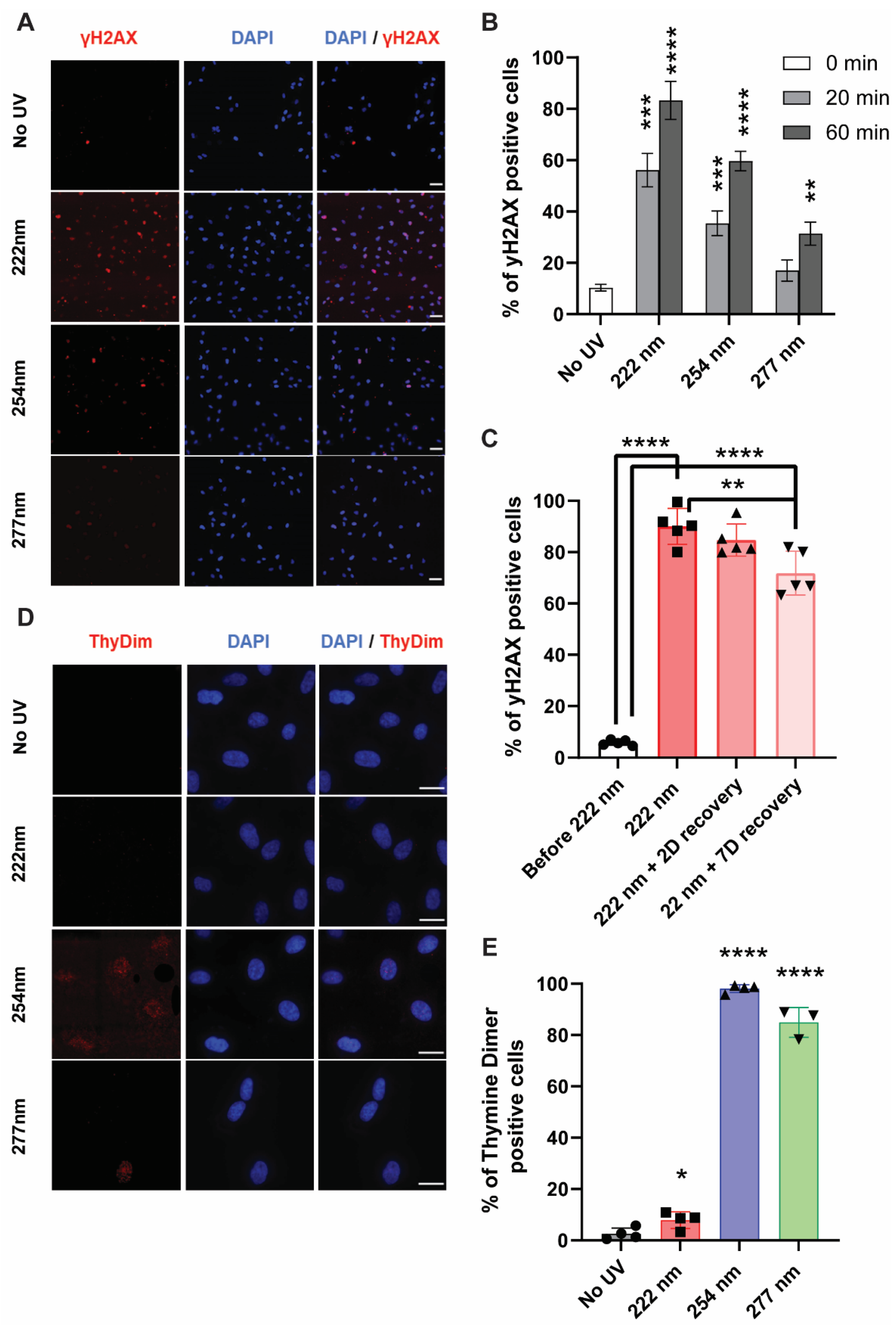 Ijms 23 09112 g003 550