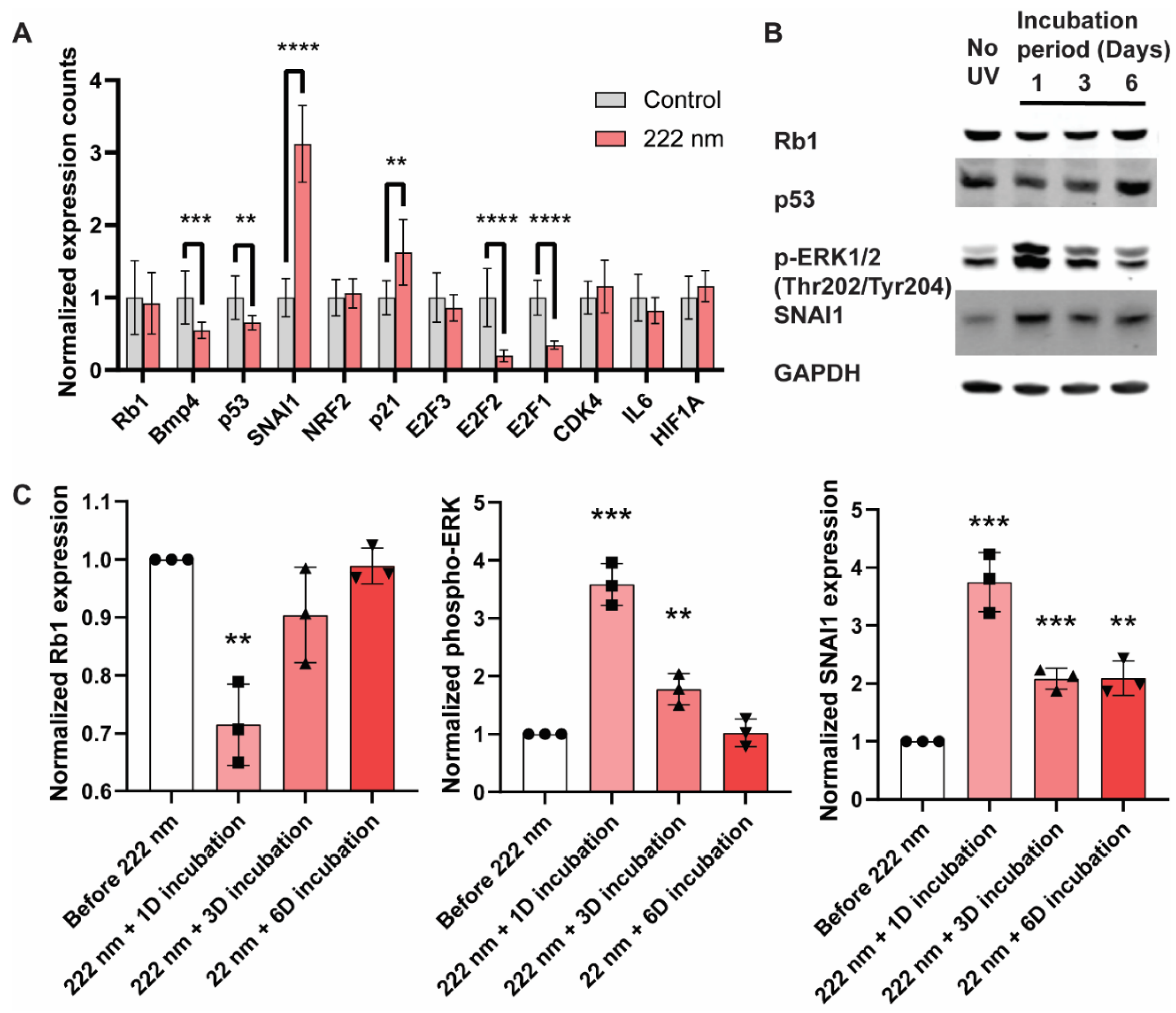 Ijms 23 09112 g004 550
