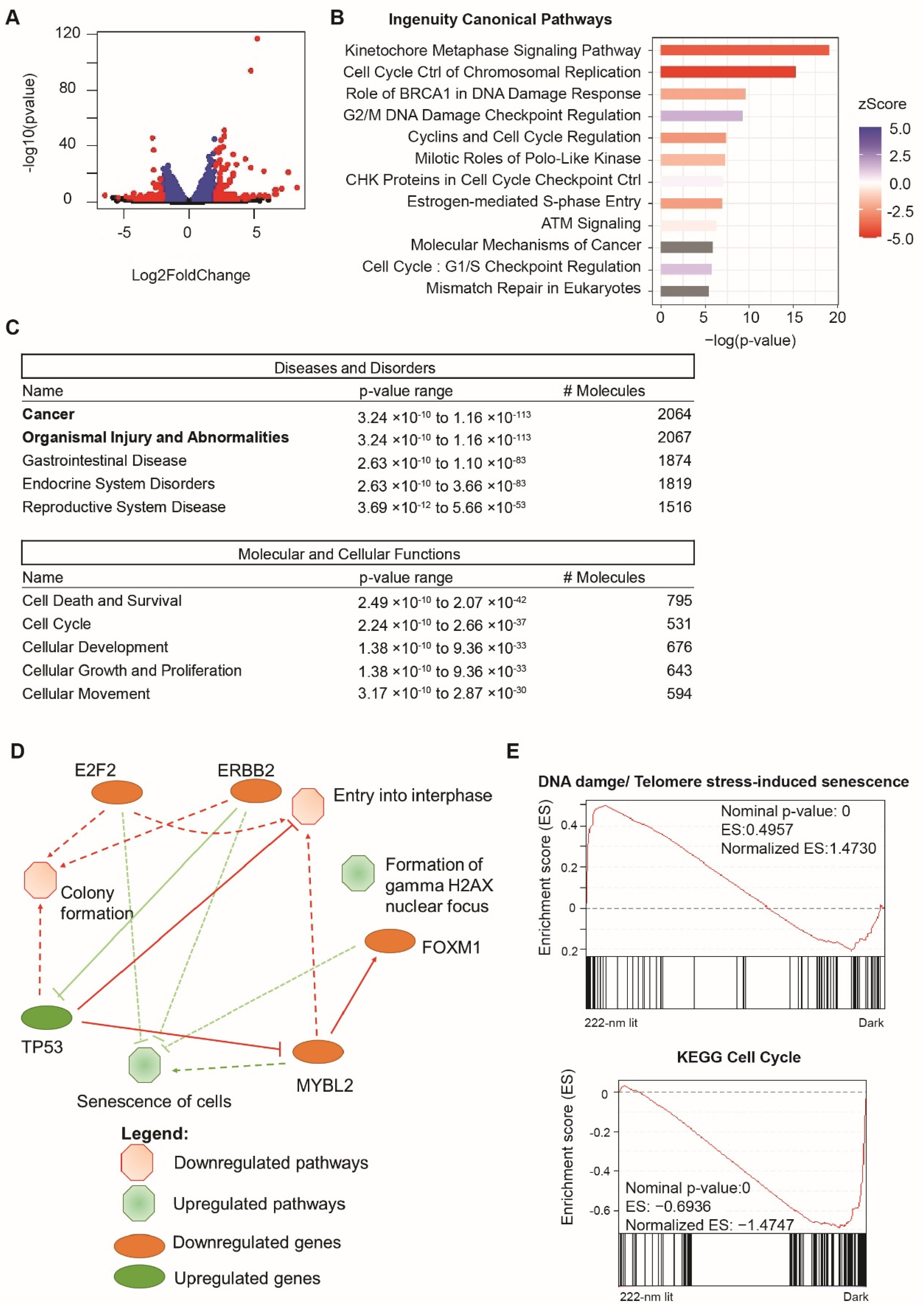 Ijms 23 09112 g005 550