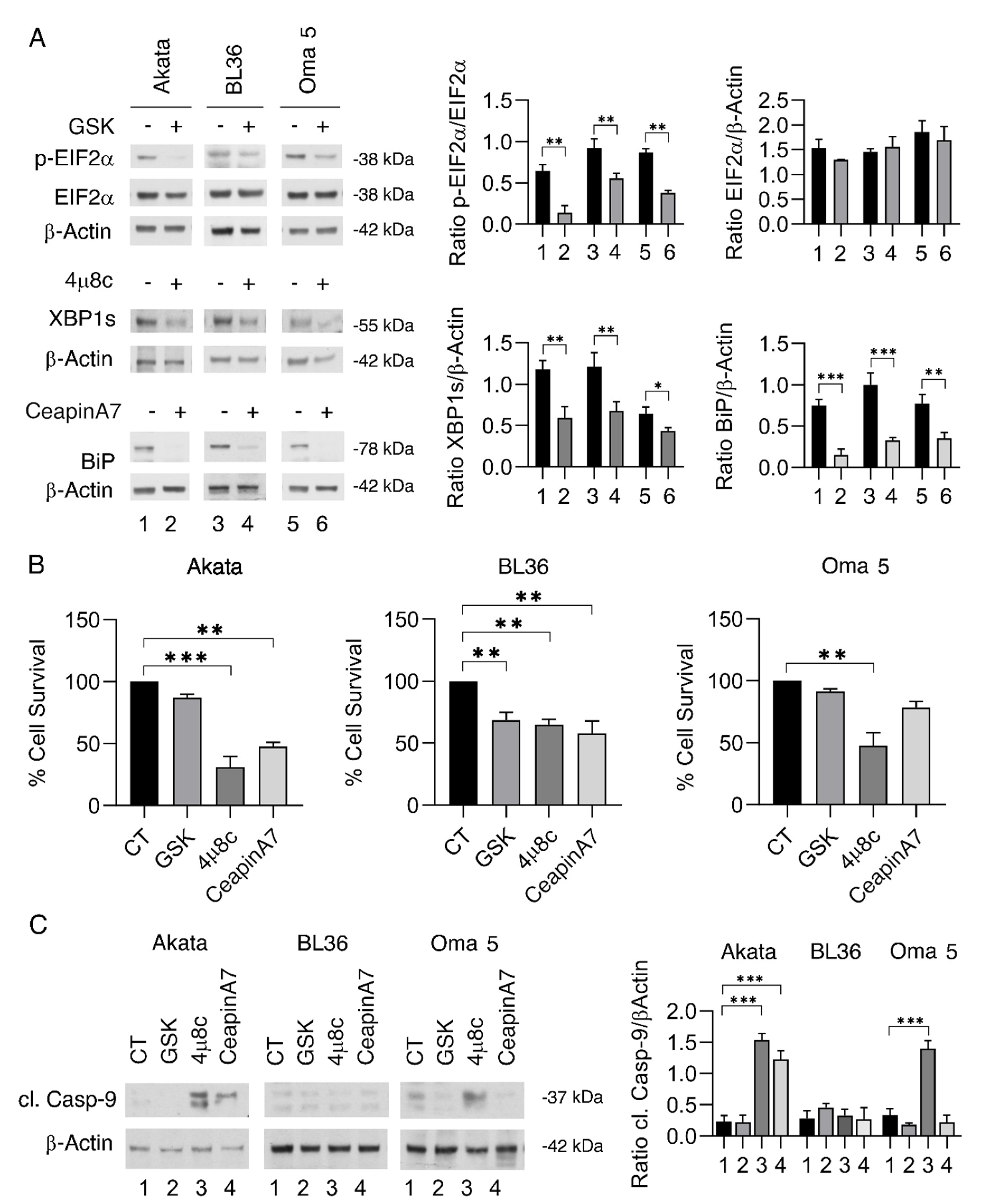 Ijms 23 09113 g001 550