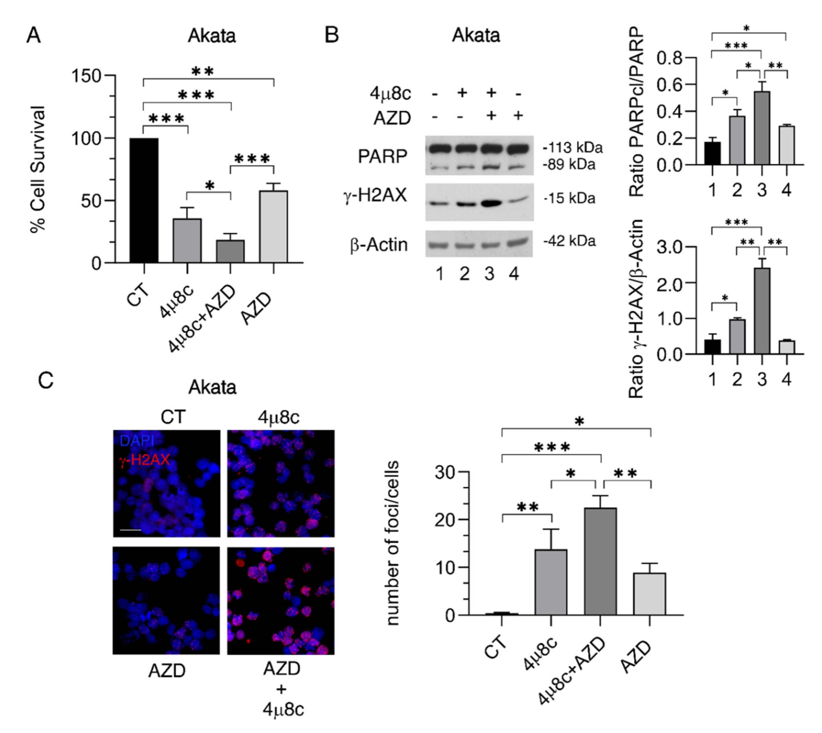 Ijms 23 09113 g004 550