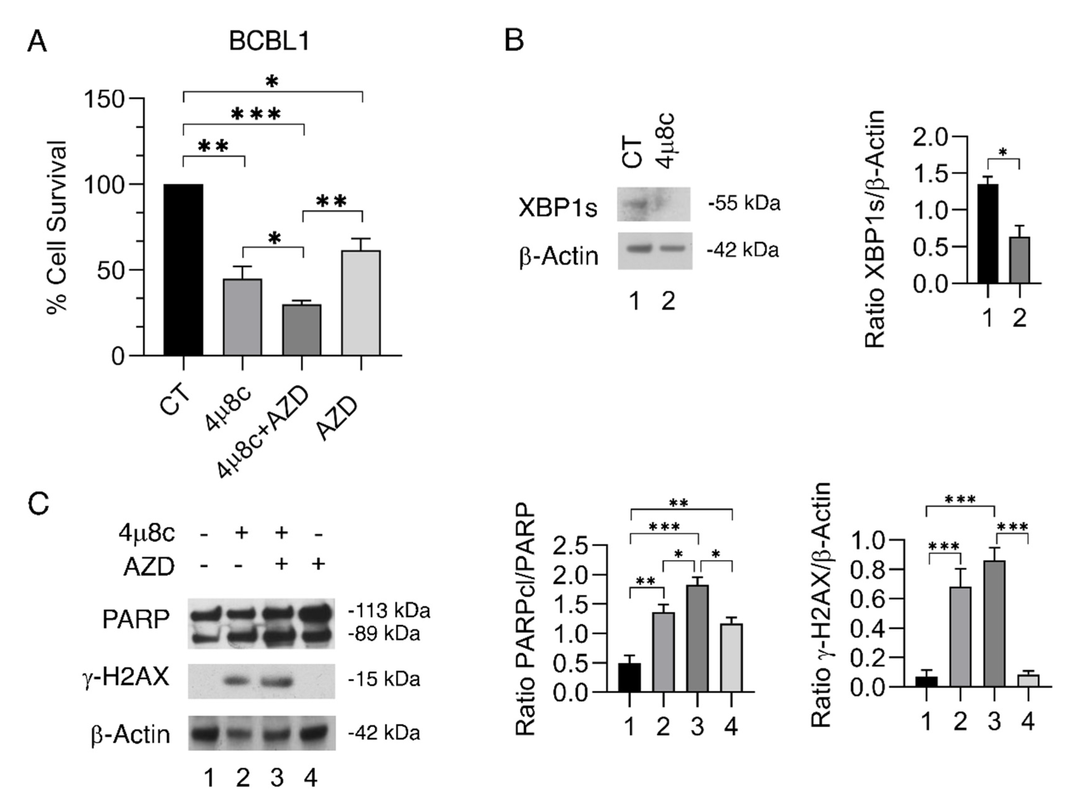 Ijms 23 09113 g005 550