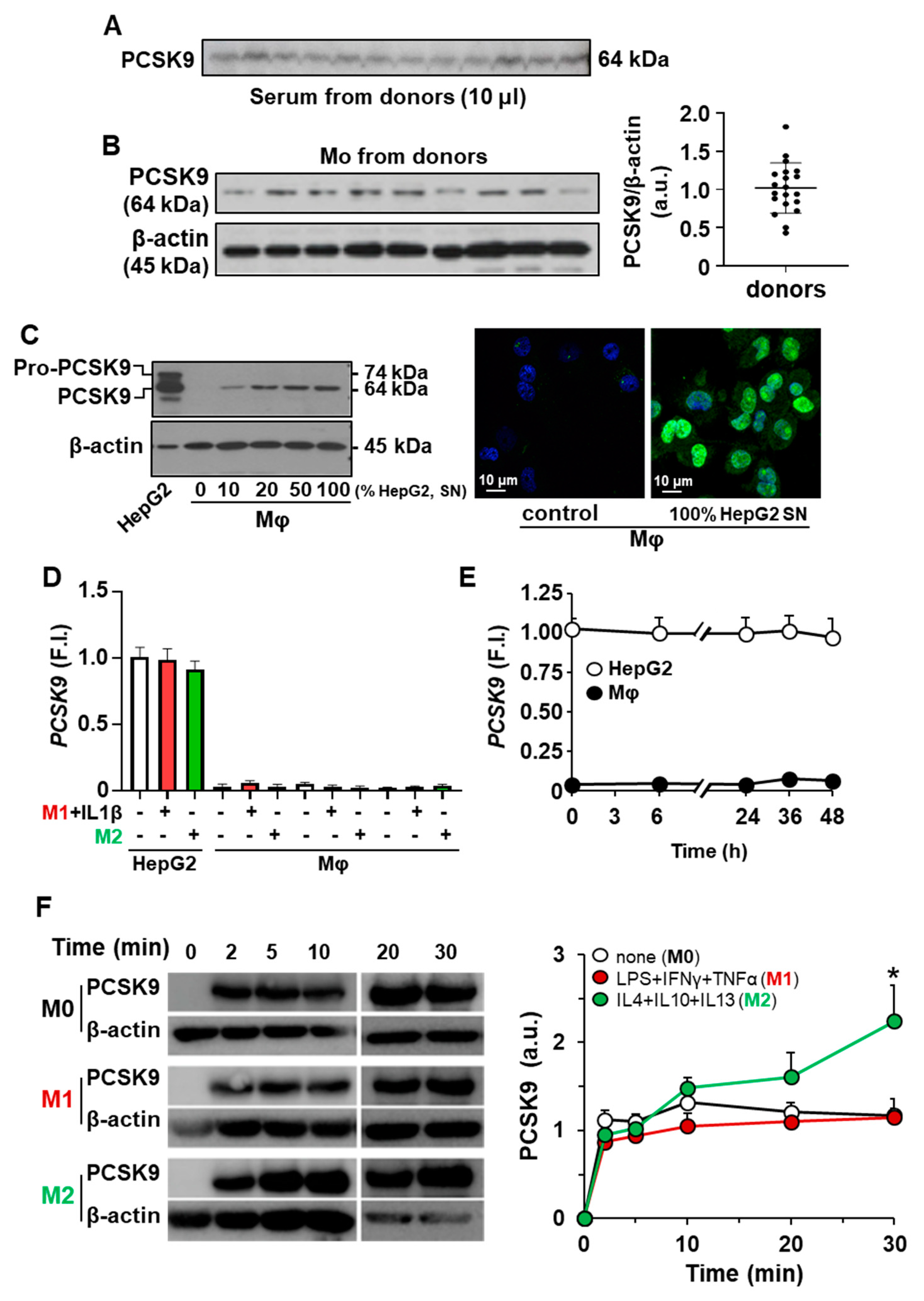 Ijms 23 09114 g001 550