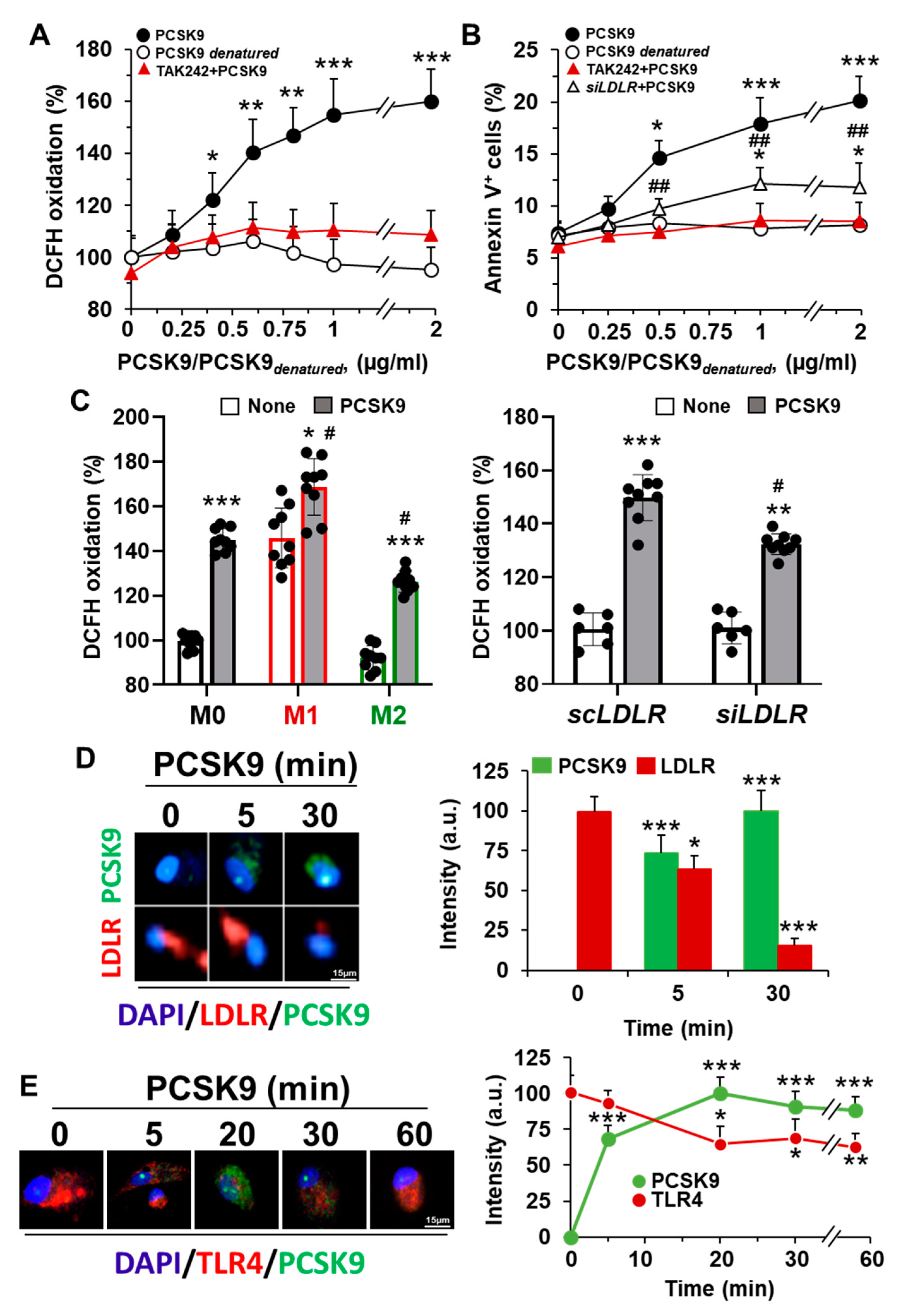 Ijms 23 09114 g002 550