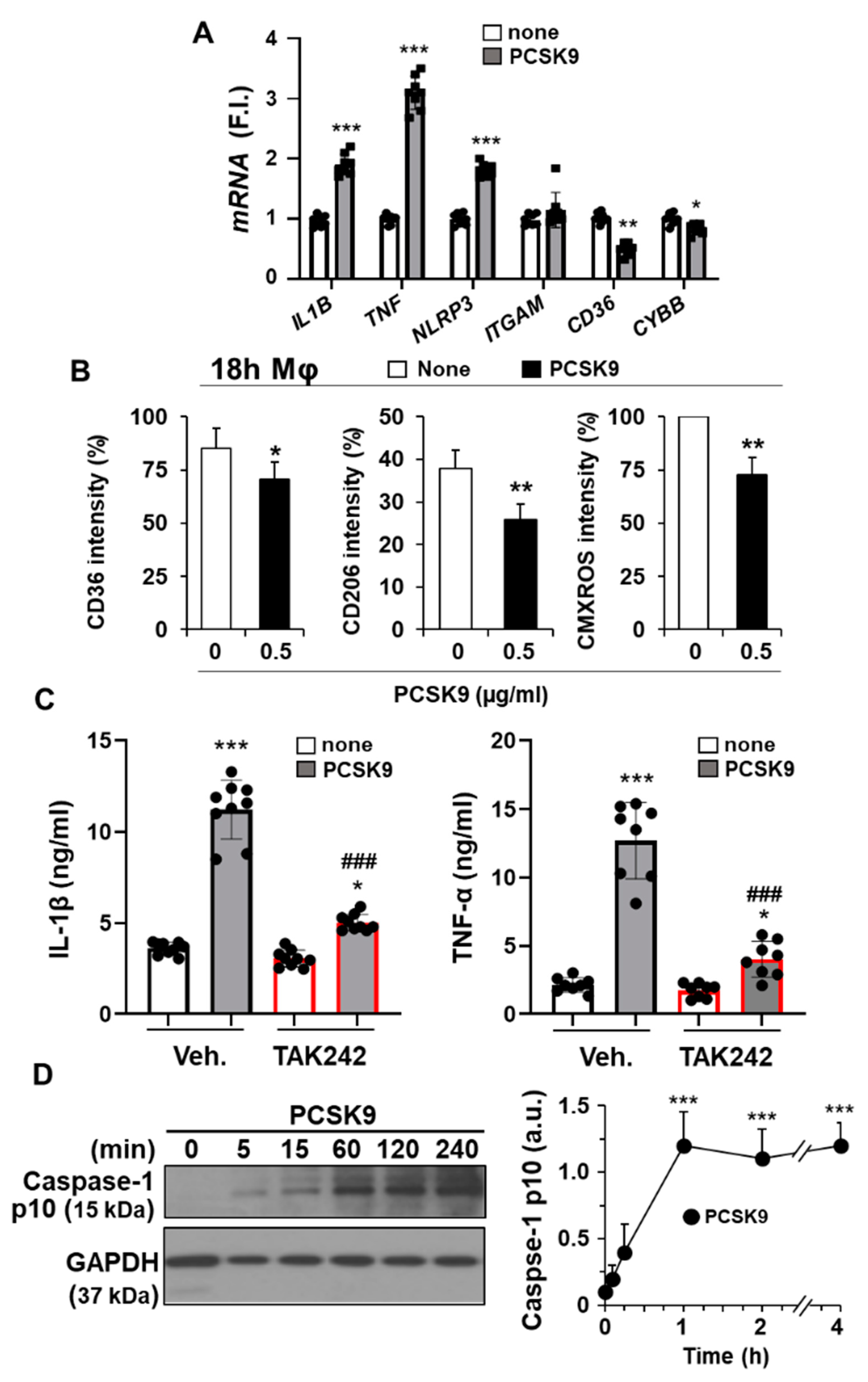 Ijms 23 09114 g004 550