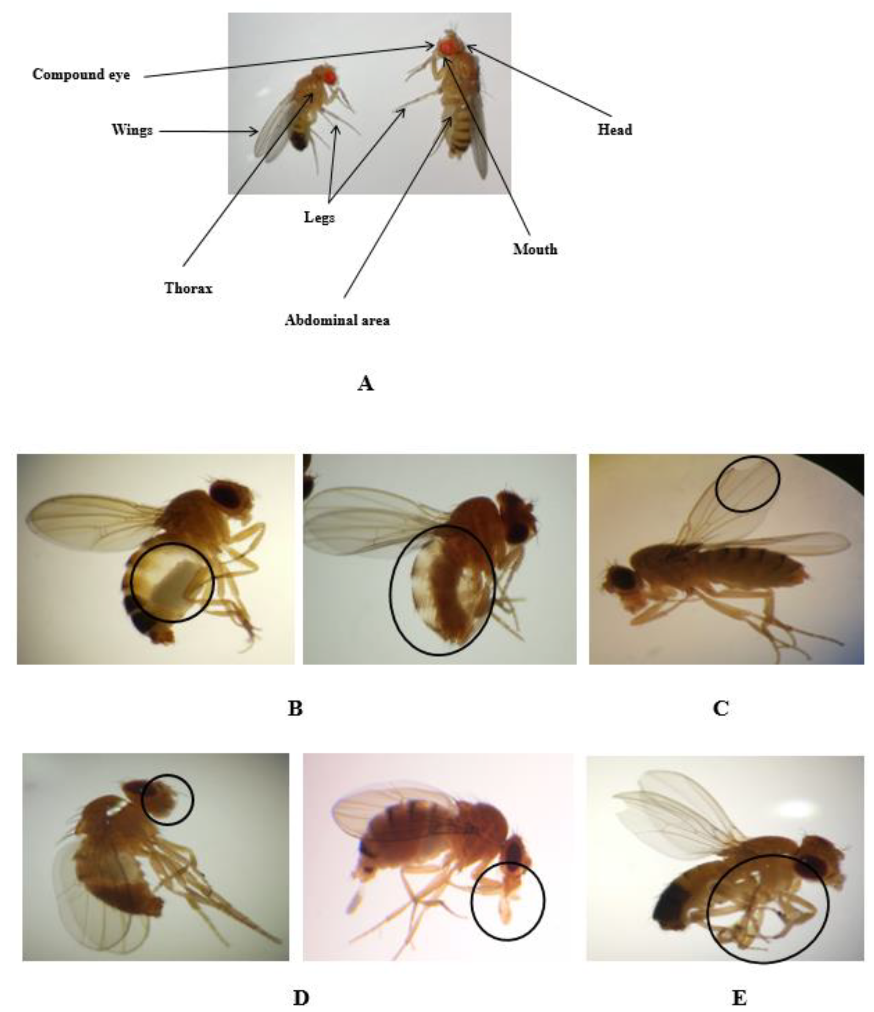 Ijms 23 09121 g002 550