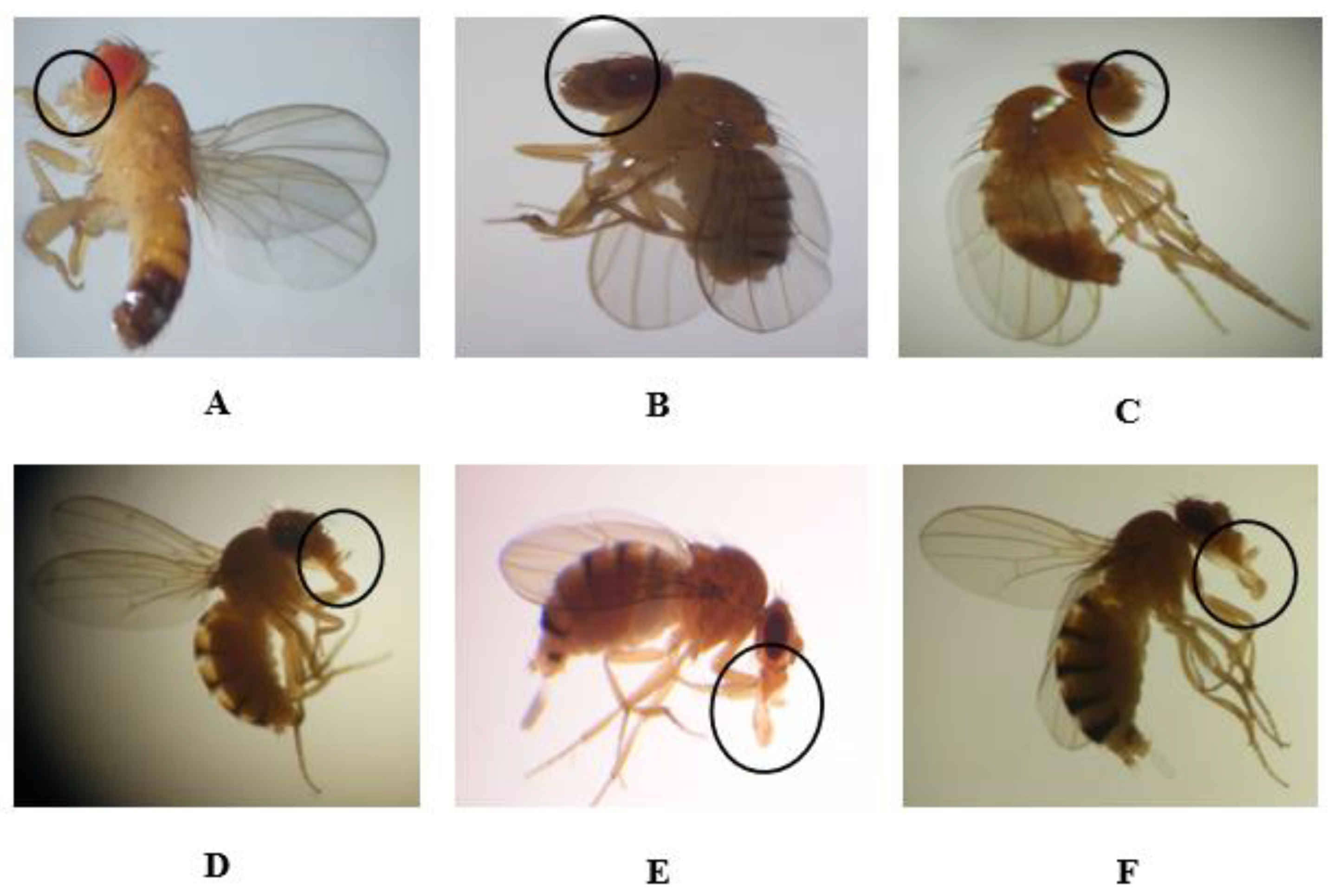 Ijms 23 09121 g003 550