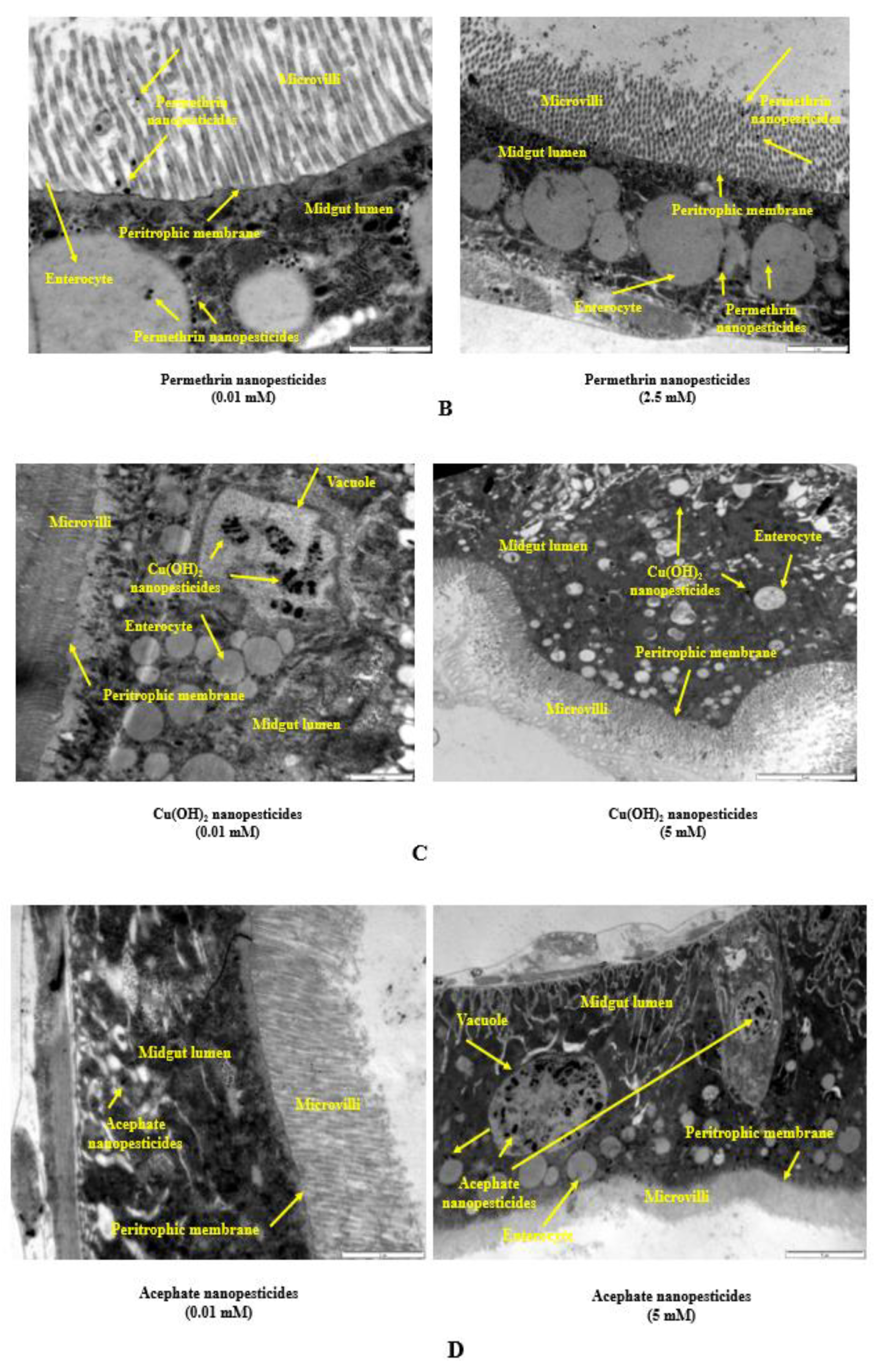 Ijms 23 09121 g008b 550