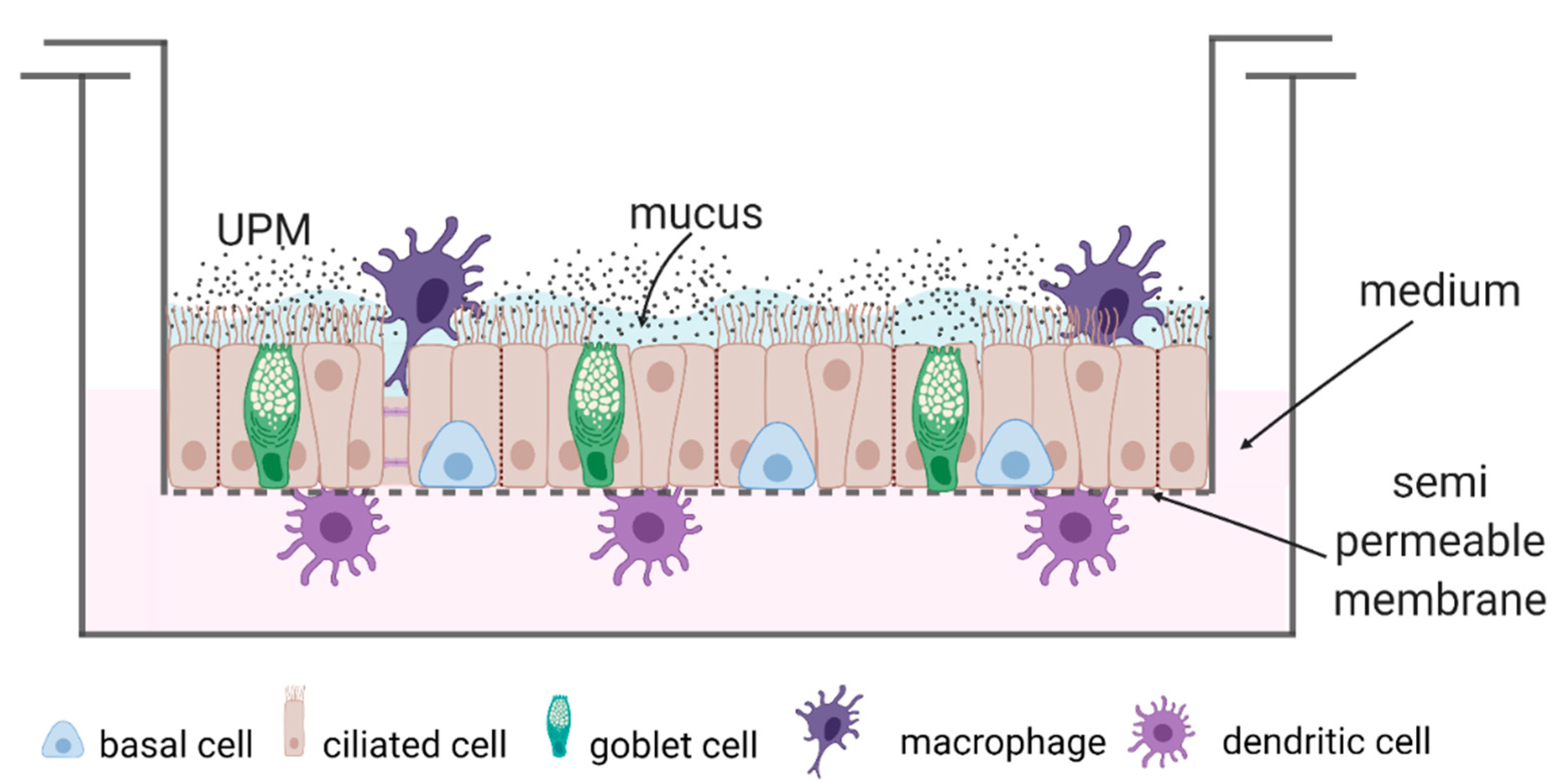Ijms 23 09125 g007 550
