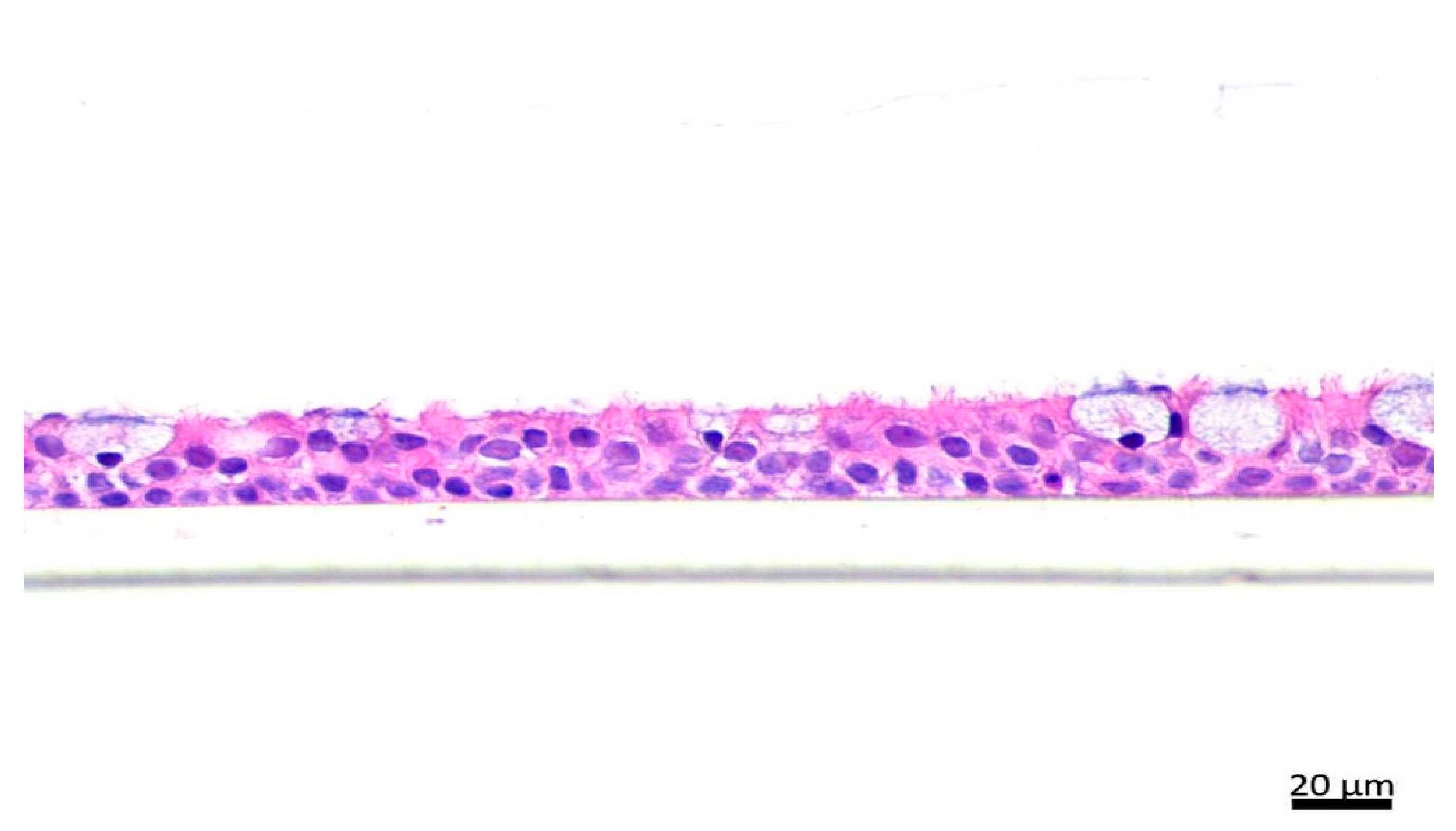 Ijms 23 09125 g008 550