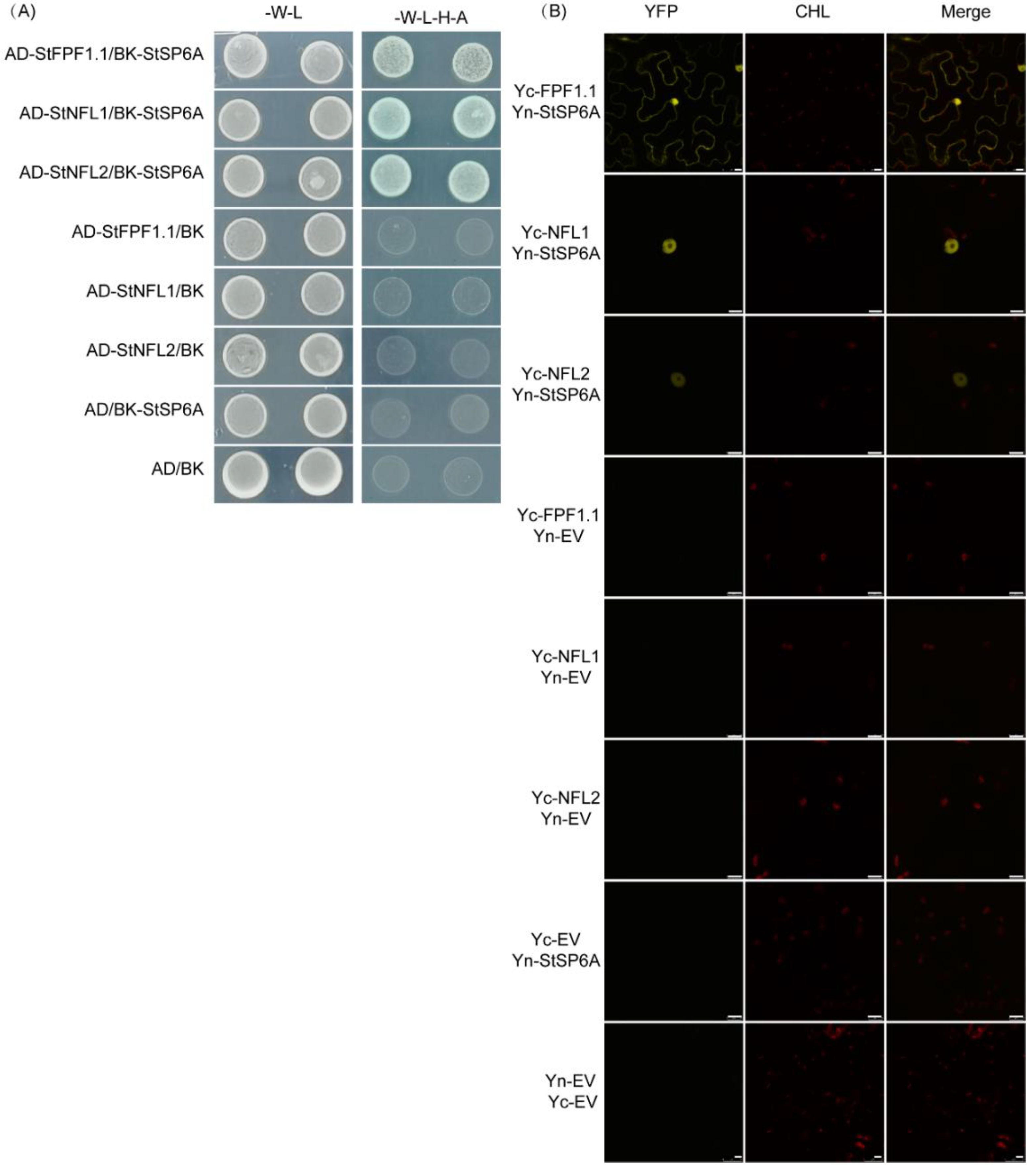 Ijms 23 09126 g002 550